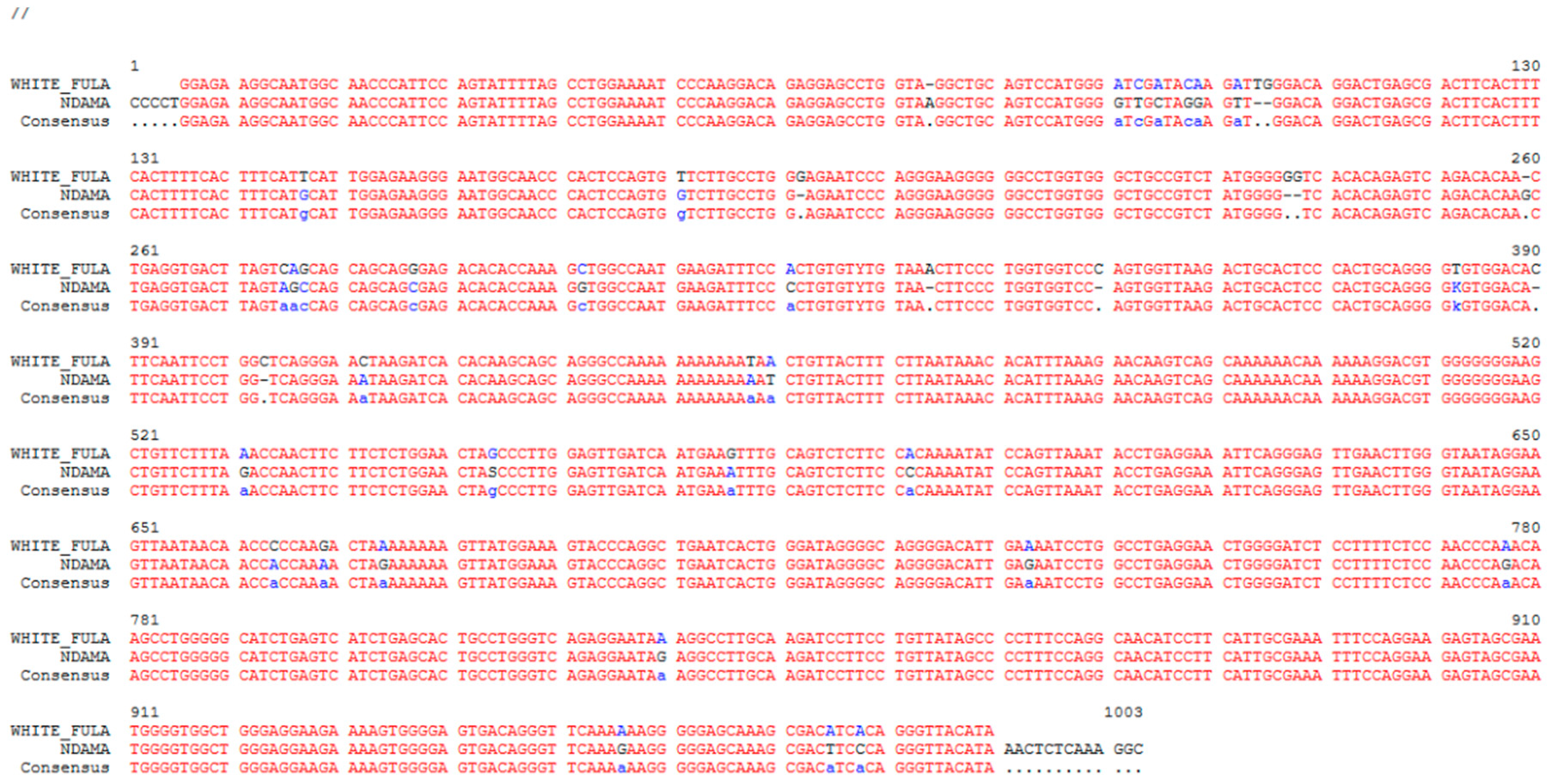 Genes 11 00112 g001