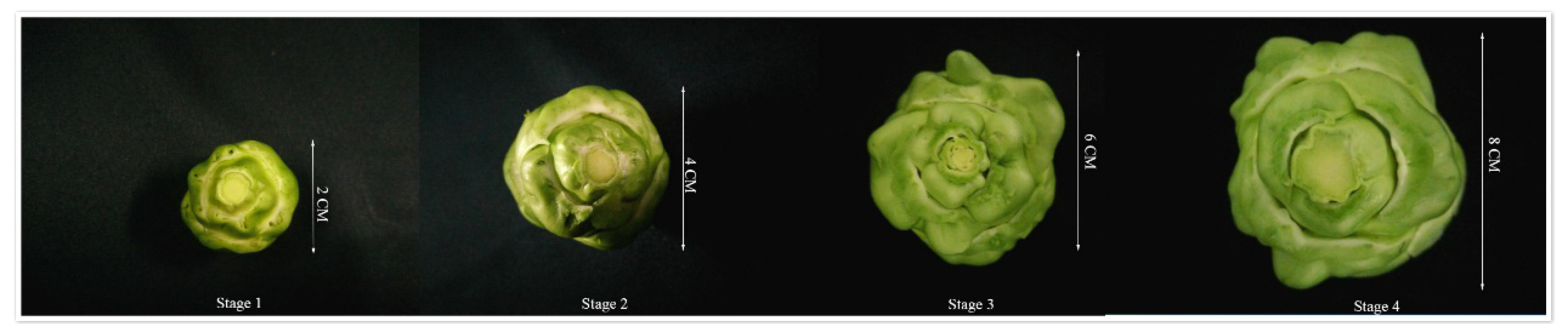 Genes 11 00113 g001