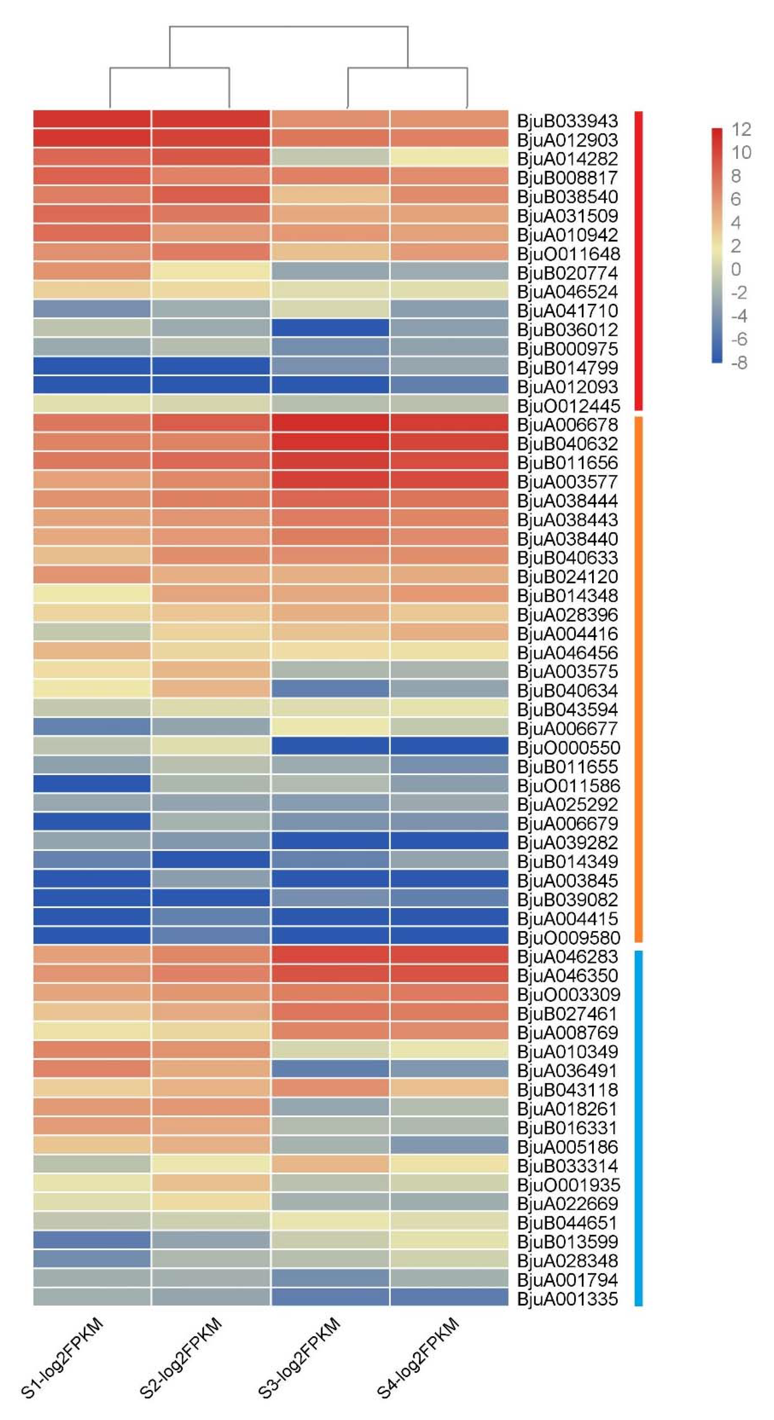 Genes 11 00113 g009