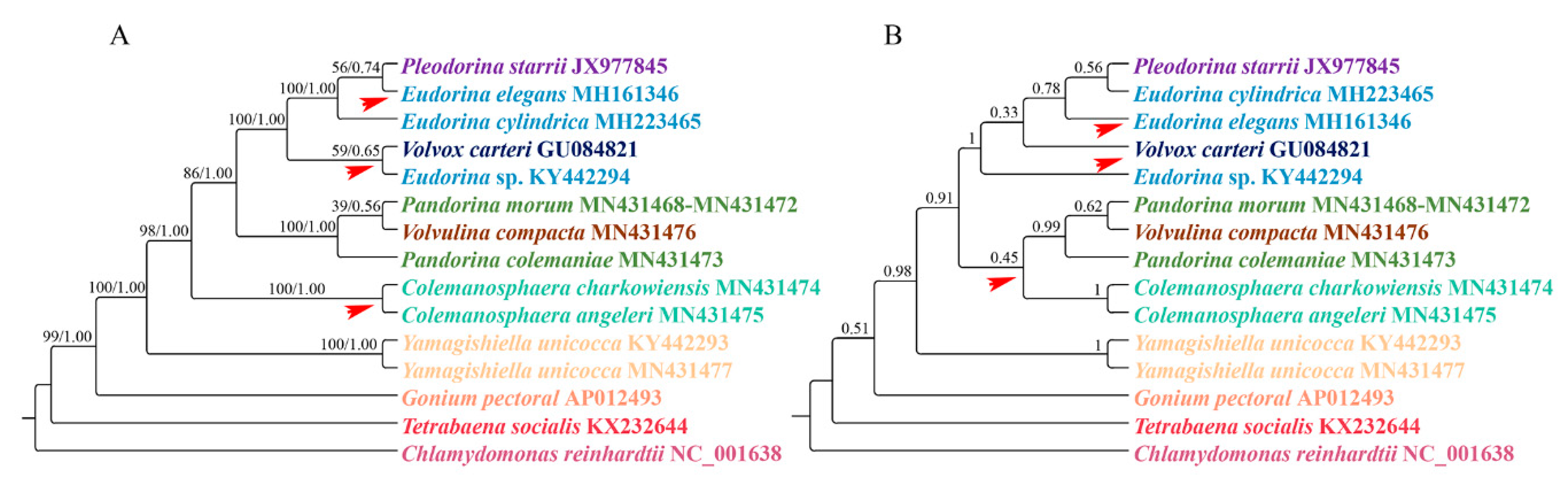 Genes 11 00115 g002