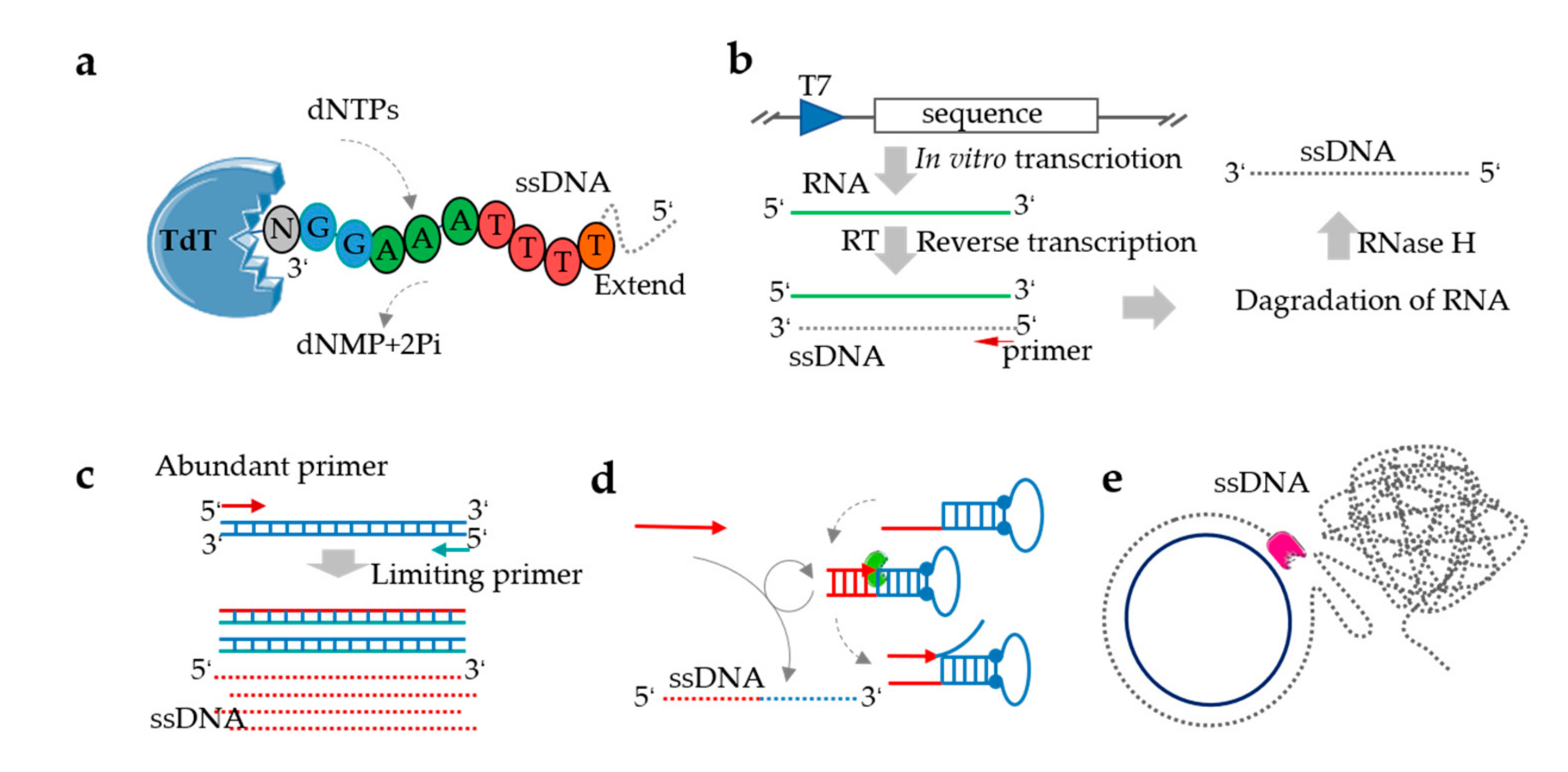 Genes 11 00116 g002 Genes 11 00116 g002