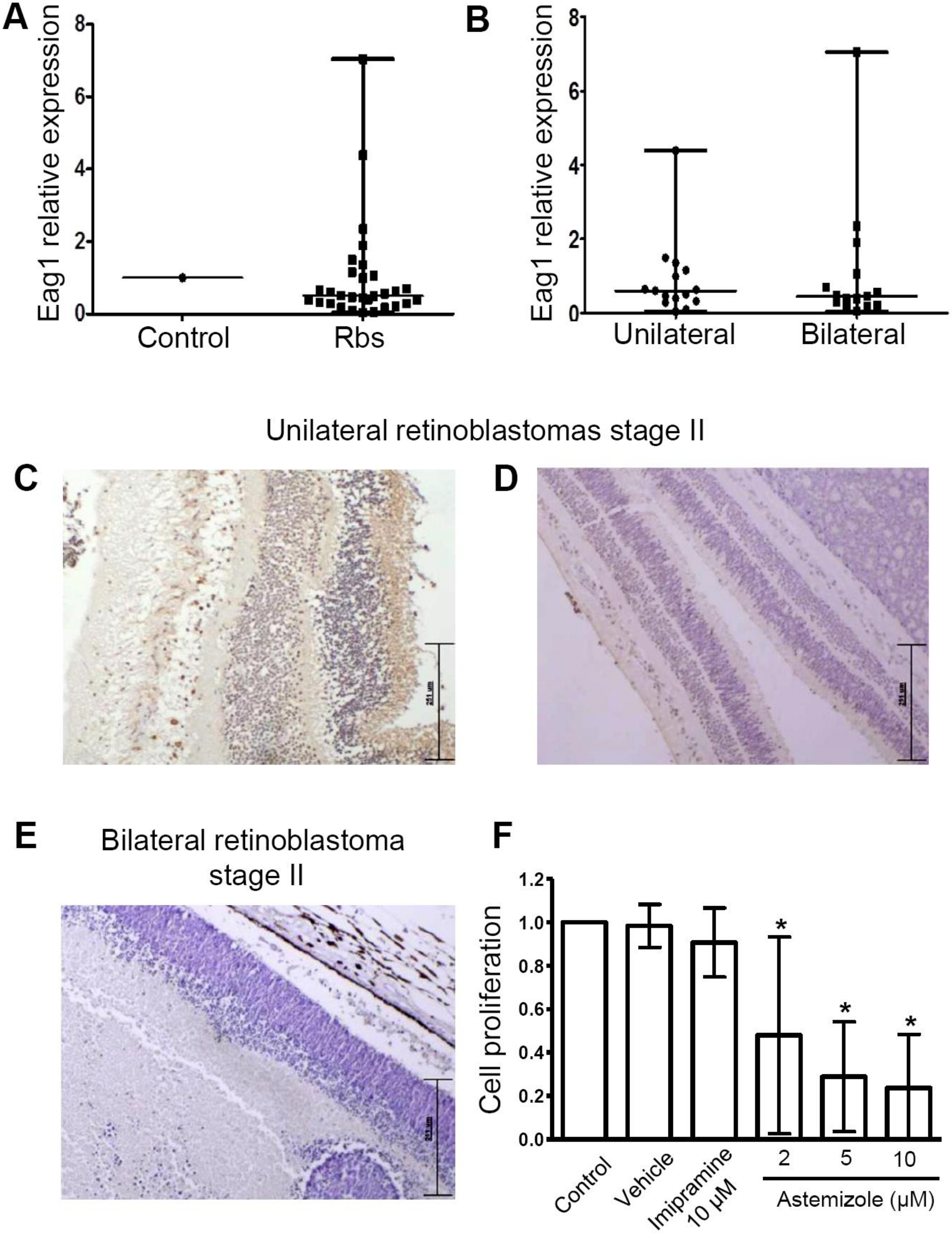 Genes 11 00119 g002 Genes 11 00119 g002