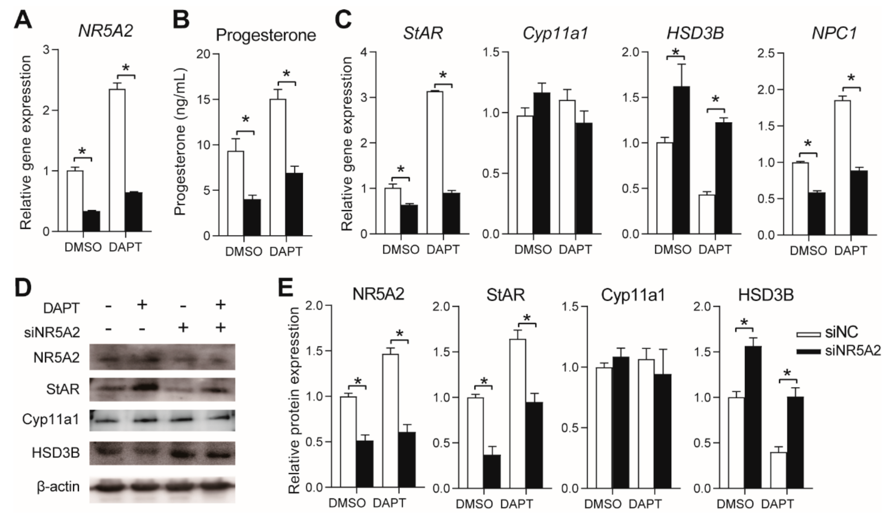 Genes 11 00120 g004 Genes 11 00120 g004