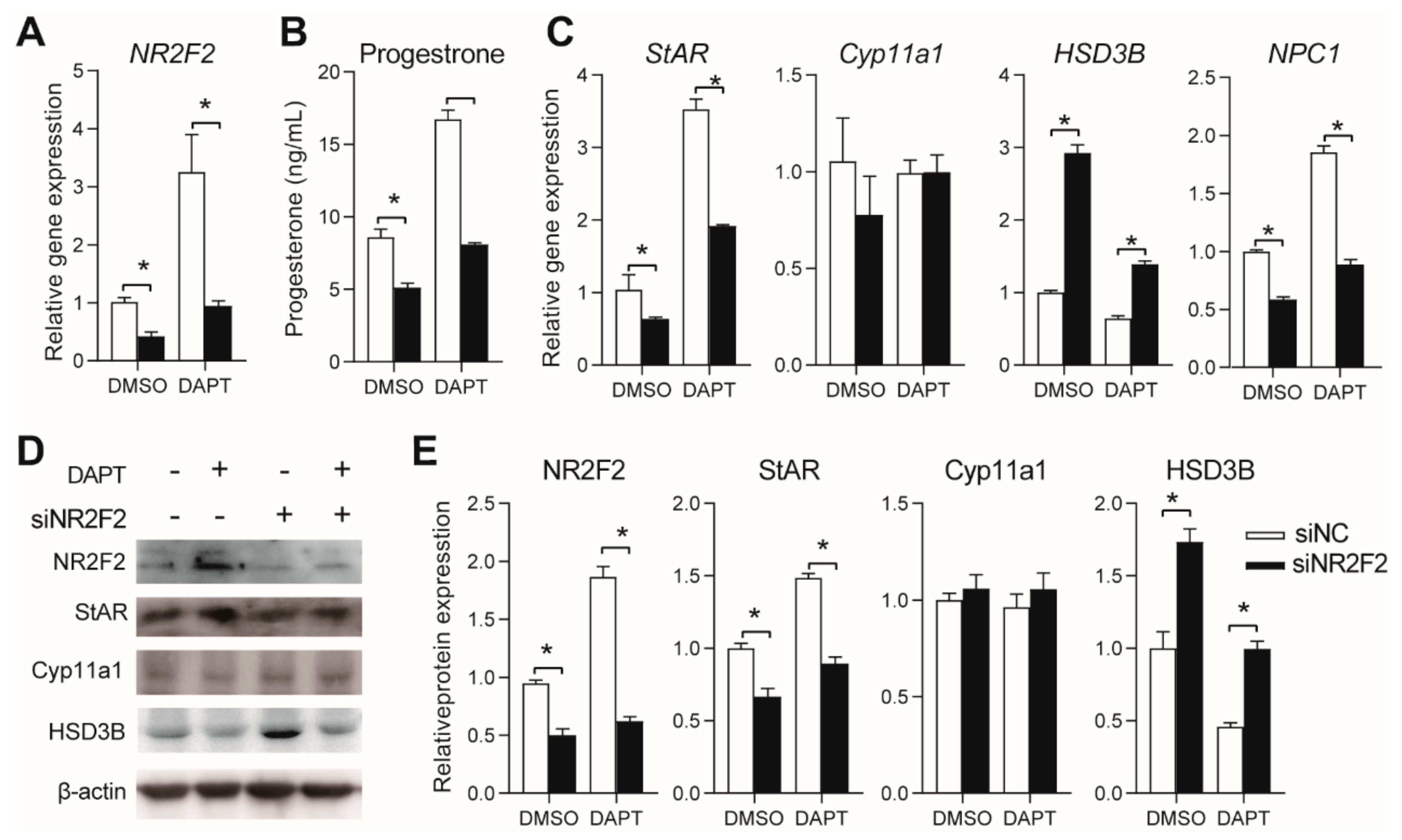 Genes 11 00120 g005 Genes 11 00120 g005