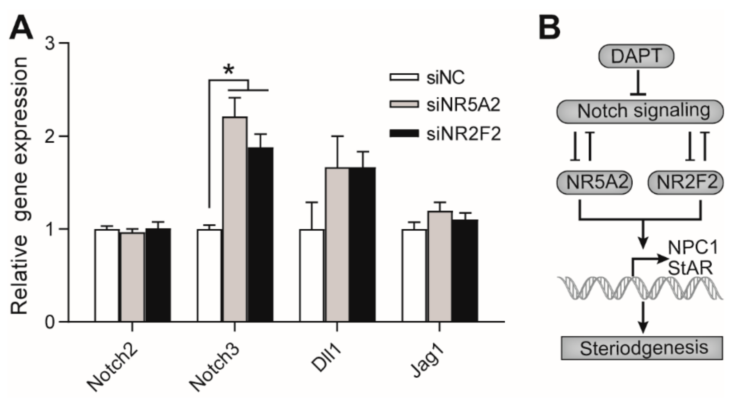 Genes 11 00120 g006 Genes 11 00120 g006