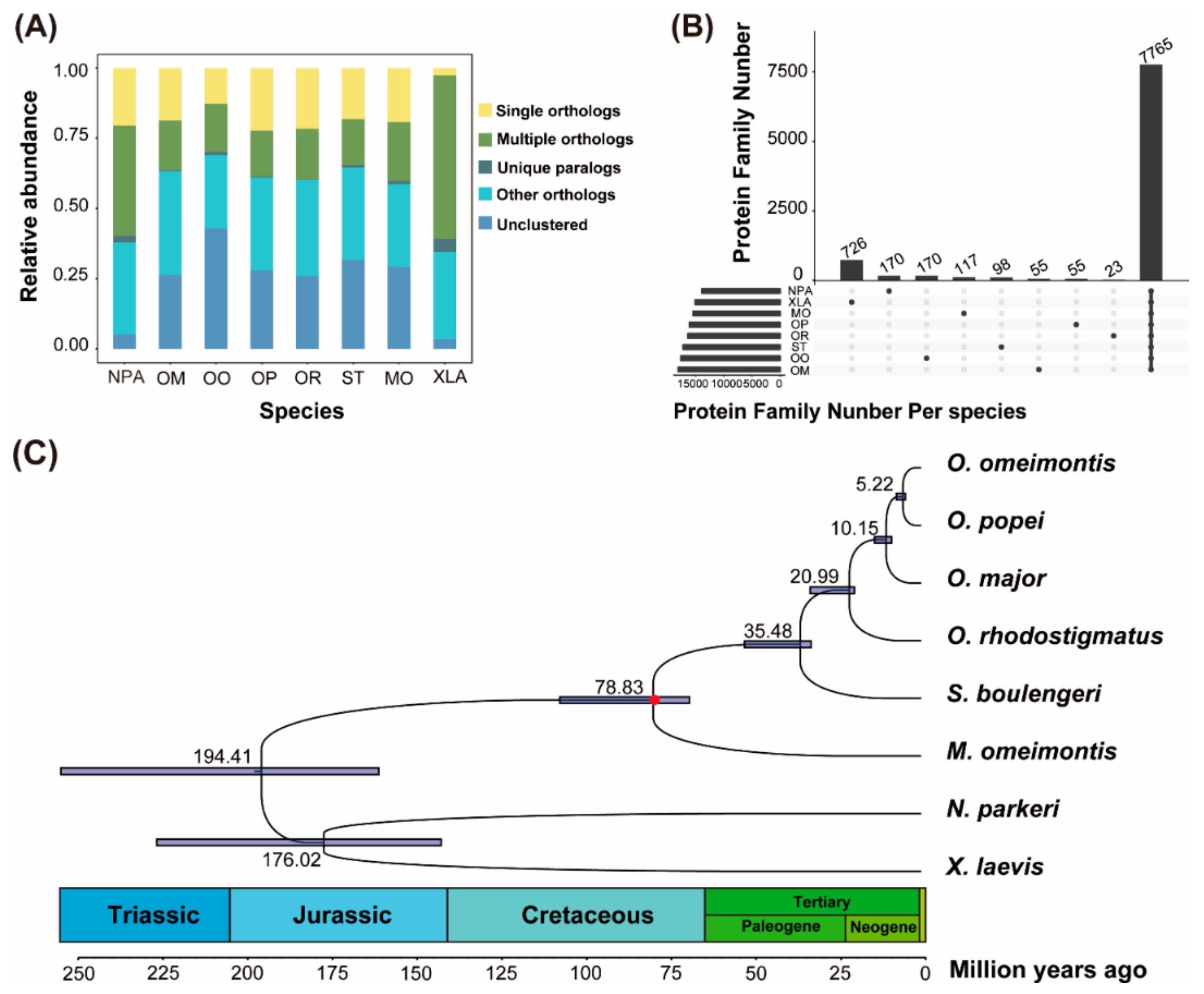 Genes 11 00123 g001