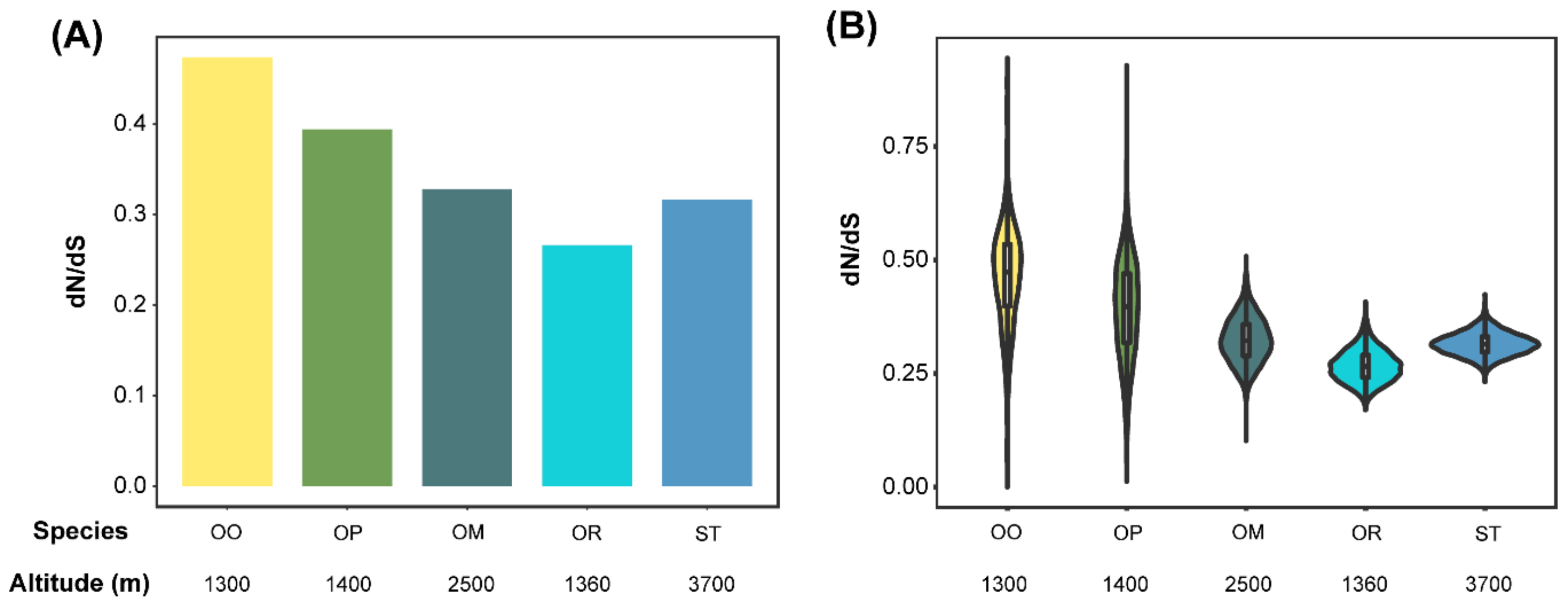 Genes 11 00123 g002