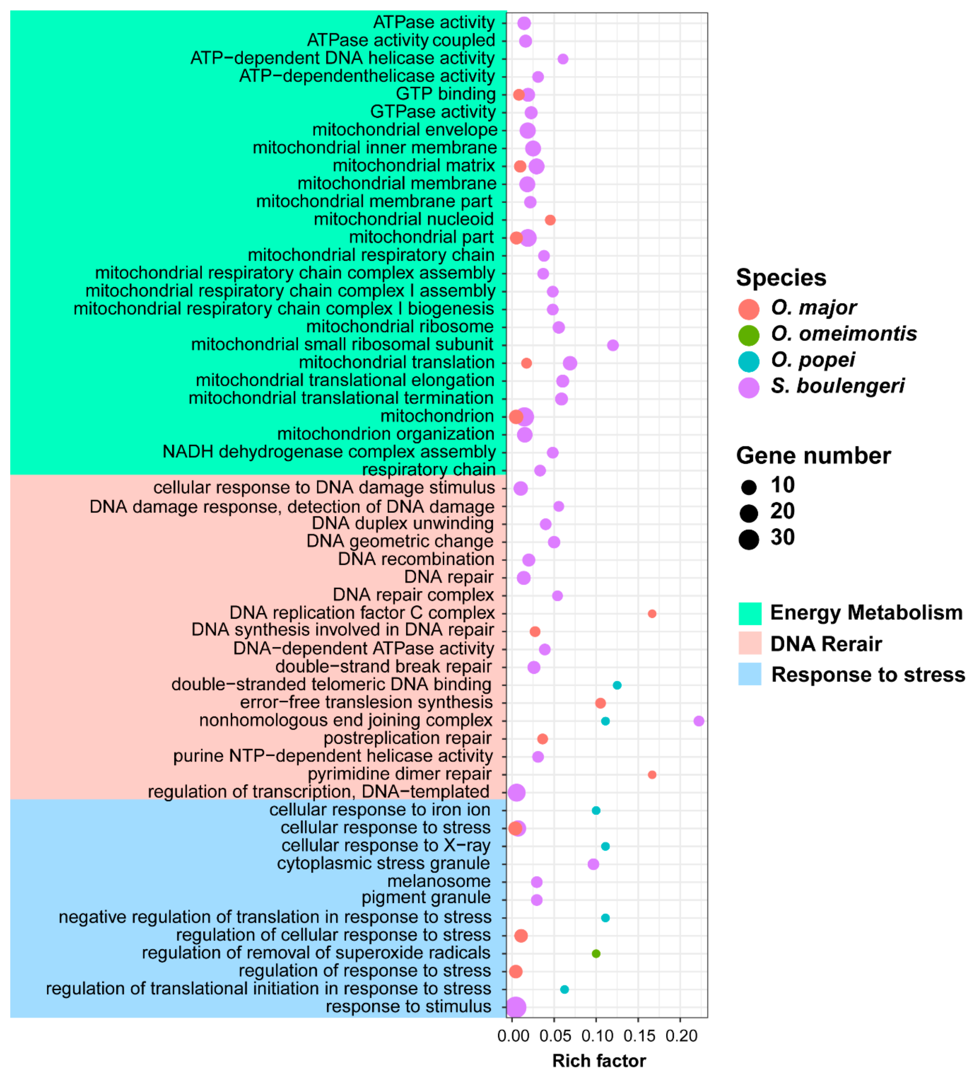 Genes 11 00123 g004