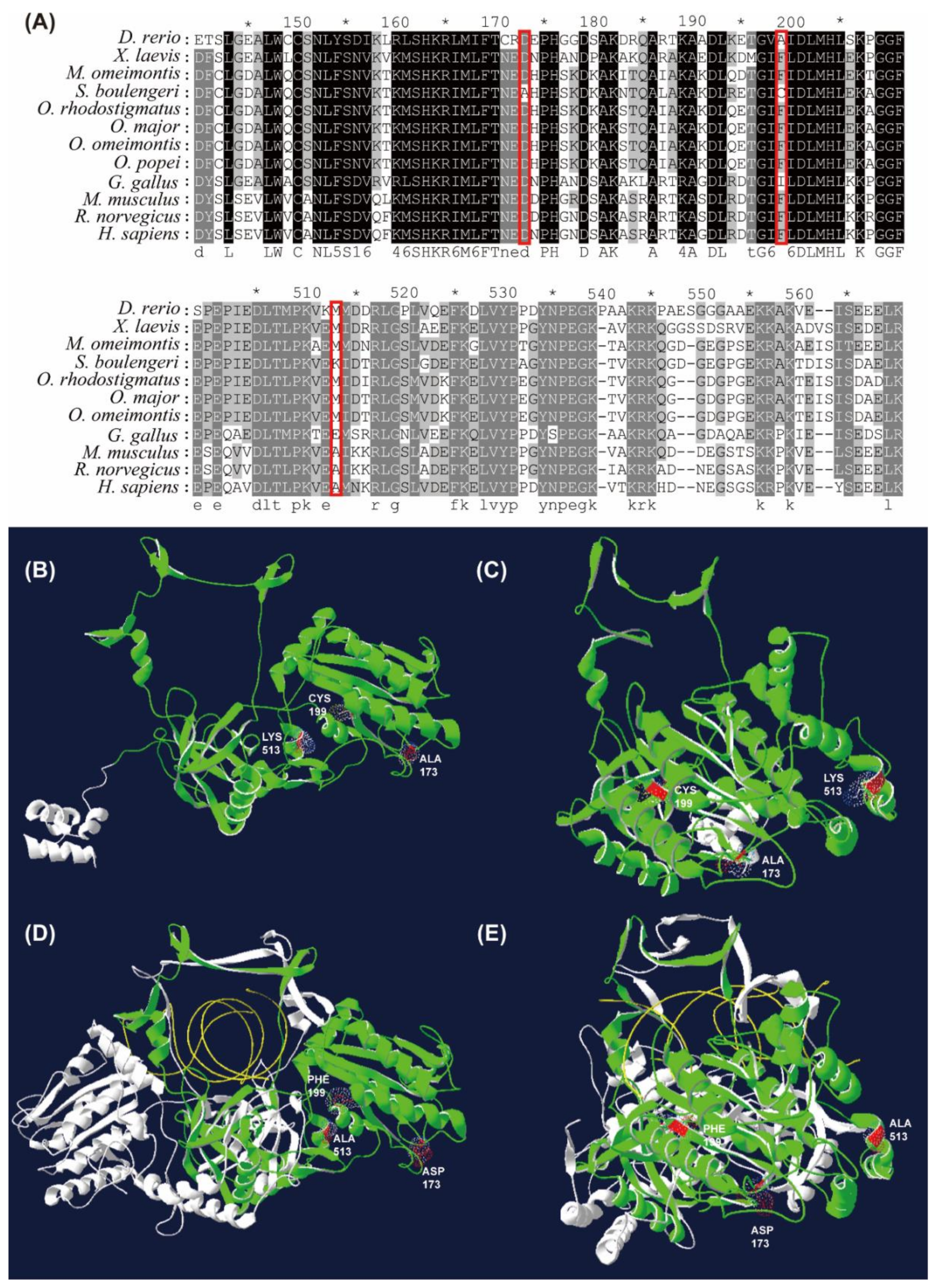 Genes 11 00123 g005