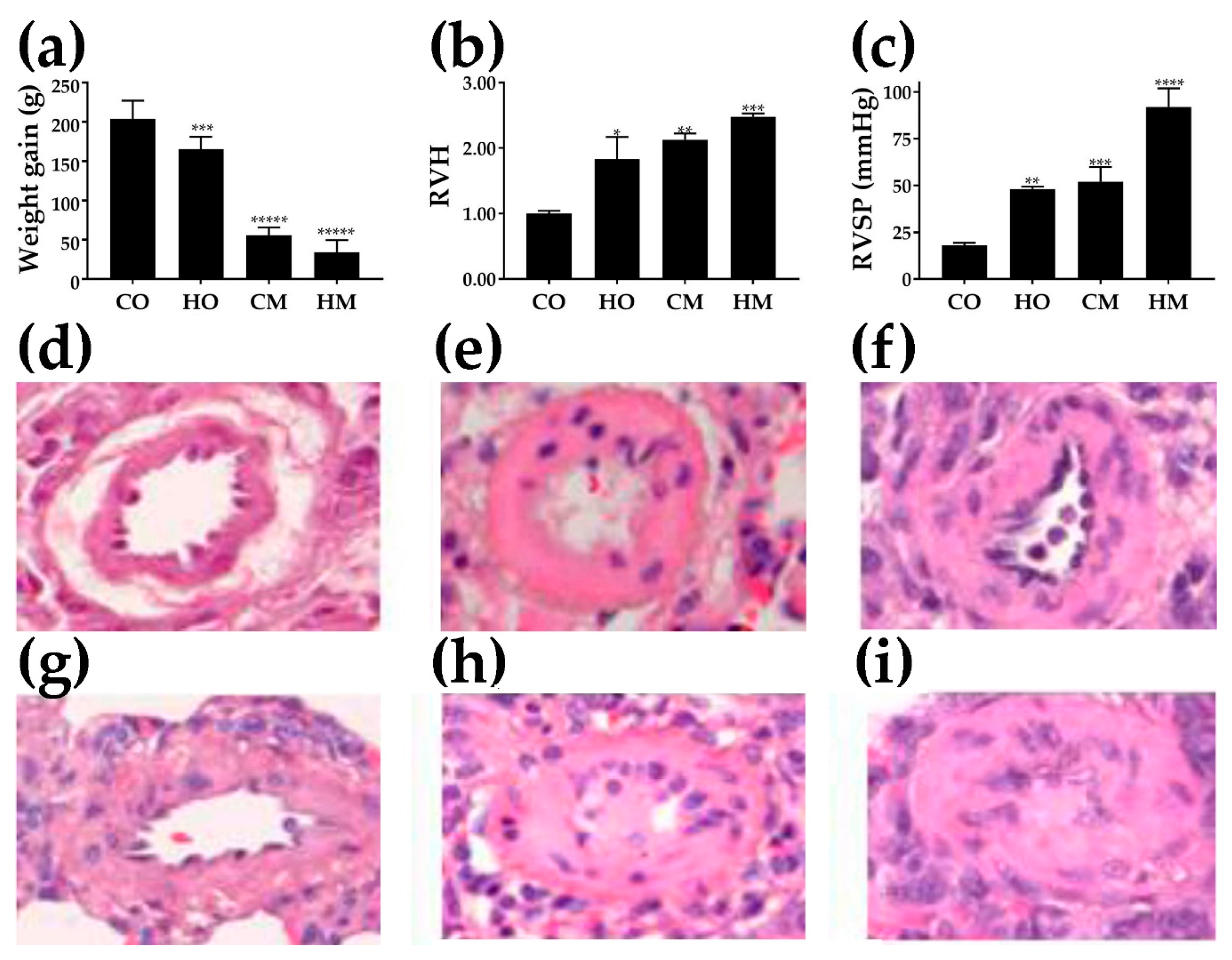 Genes 11 00126 g001 Genes 11 00126 g001
