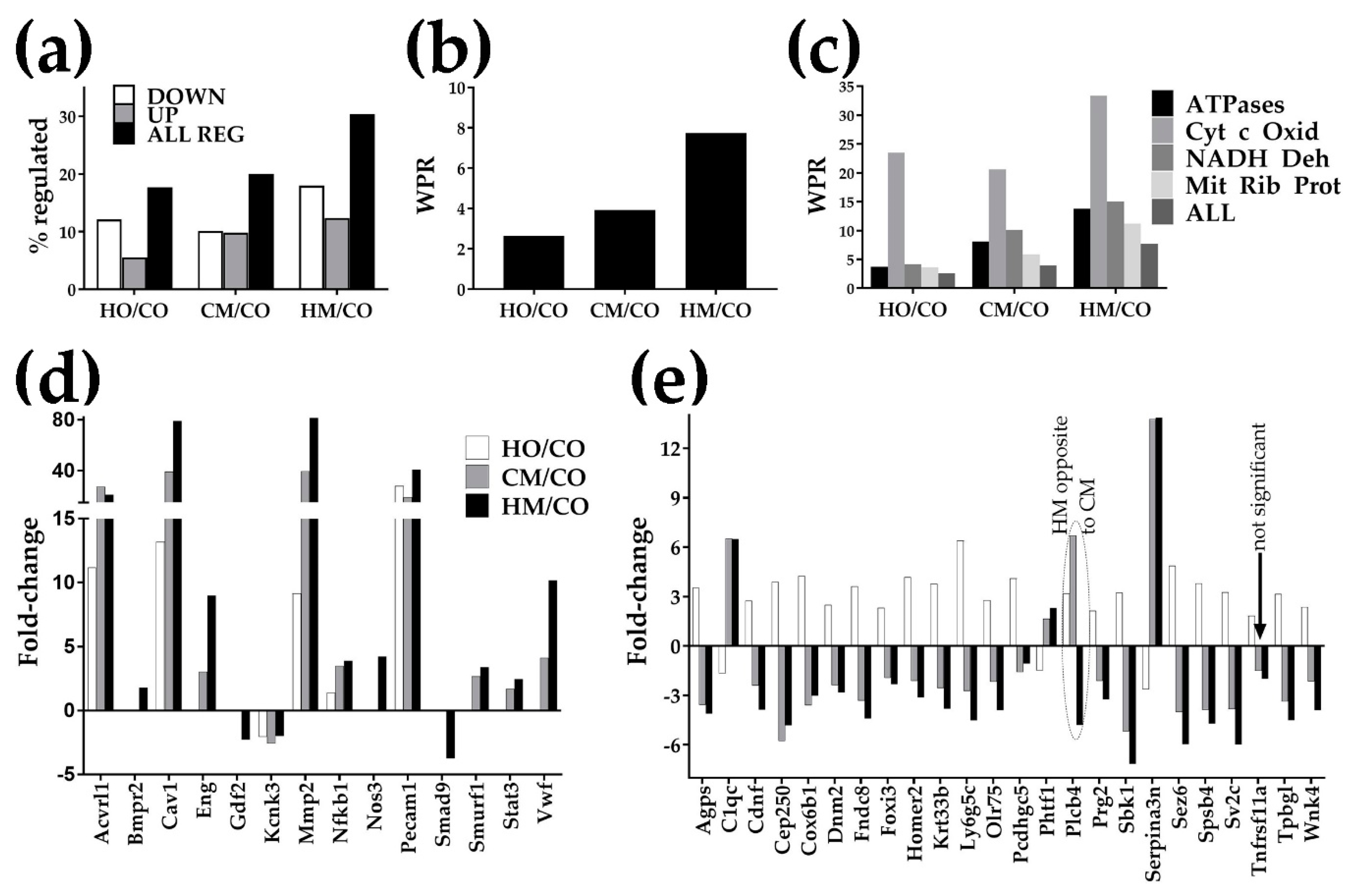 Genes 11 00126 g002 Genes 11 00126 g002