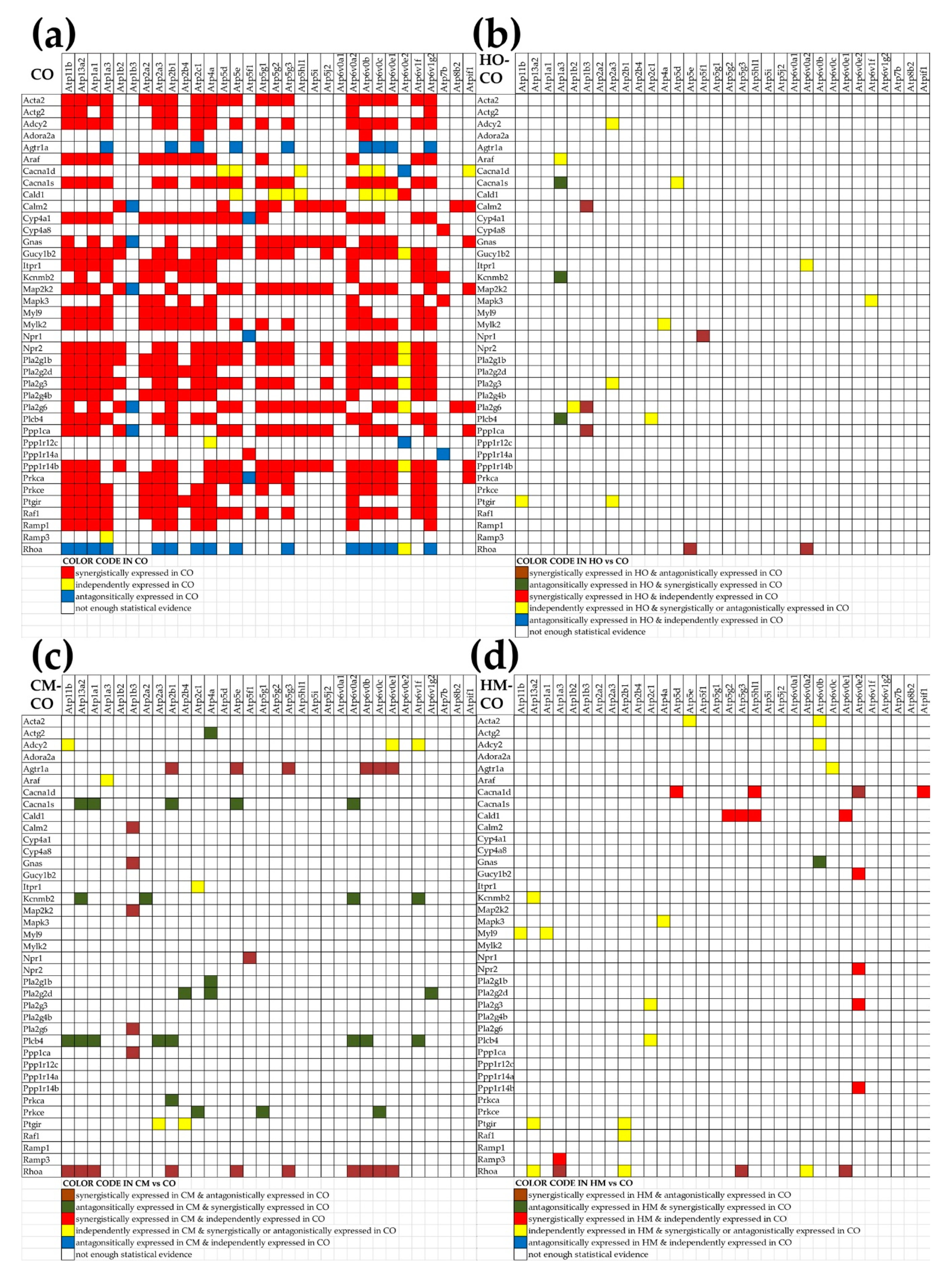 Genes 11 00126 g005 Genes 11 00126 g005