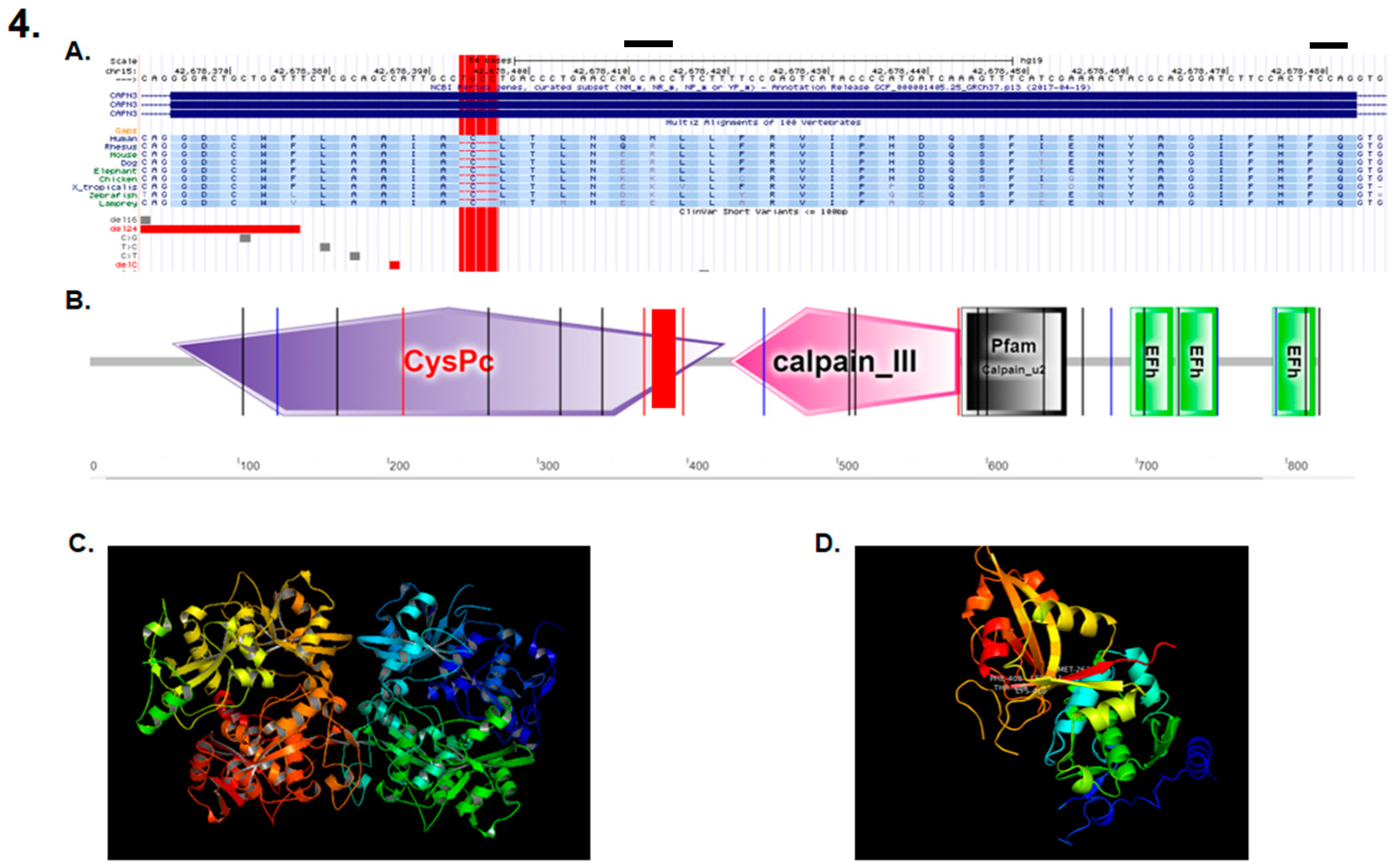 Genes 11 00129 g004 Genes 11 00129 g004