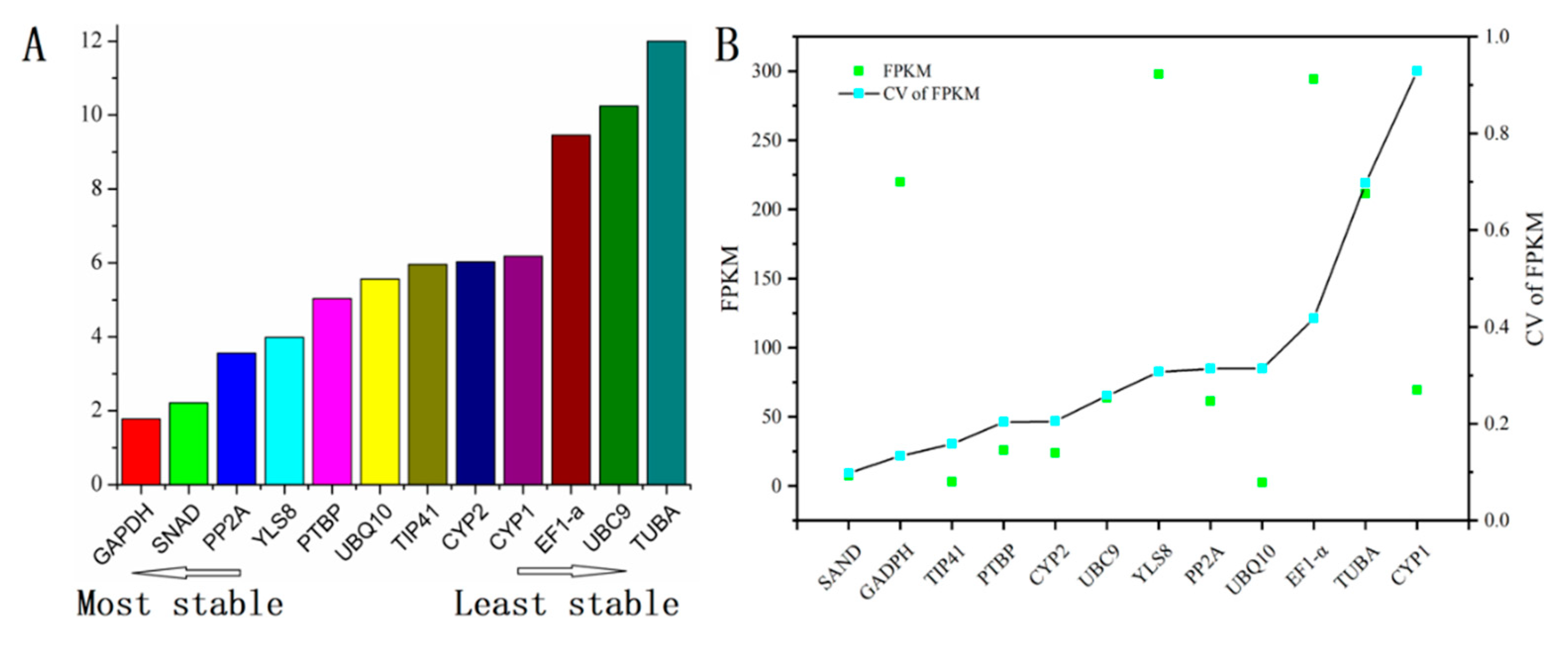 Genes 11 00130 g004