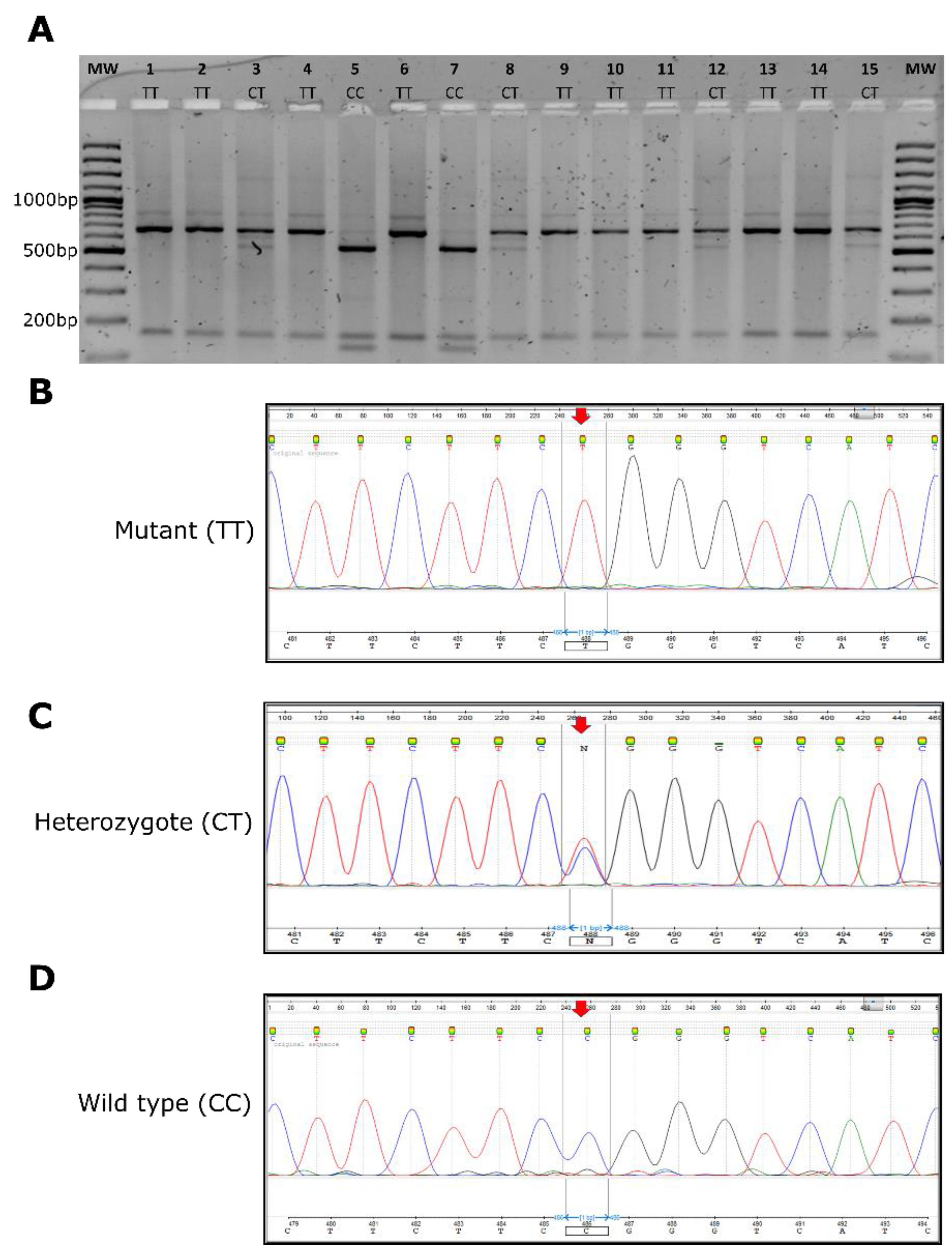 Genes 11 00132 g003 Genes 11 00132 g003