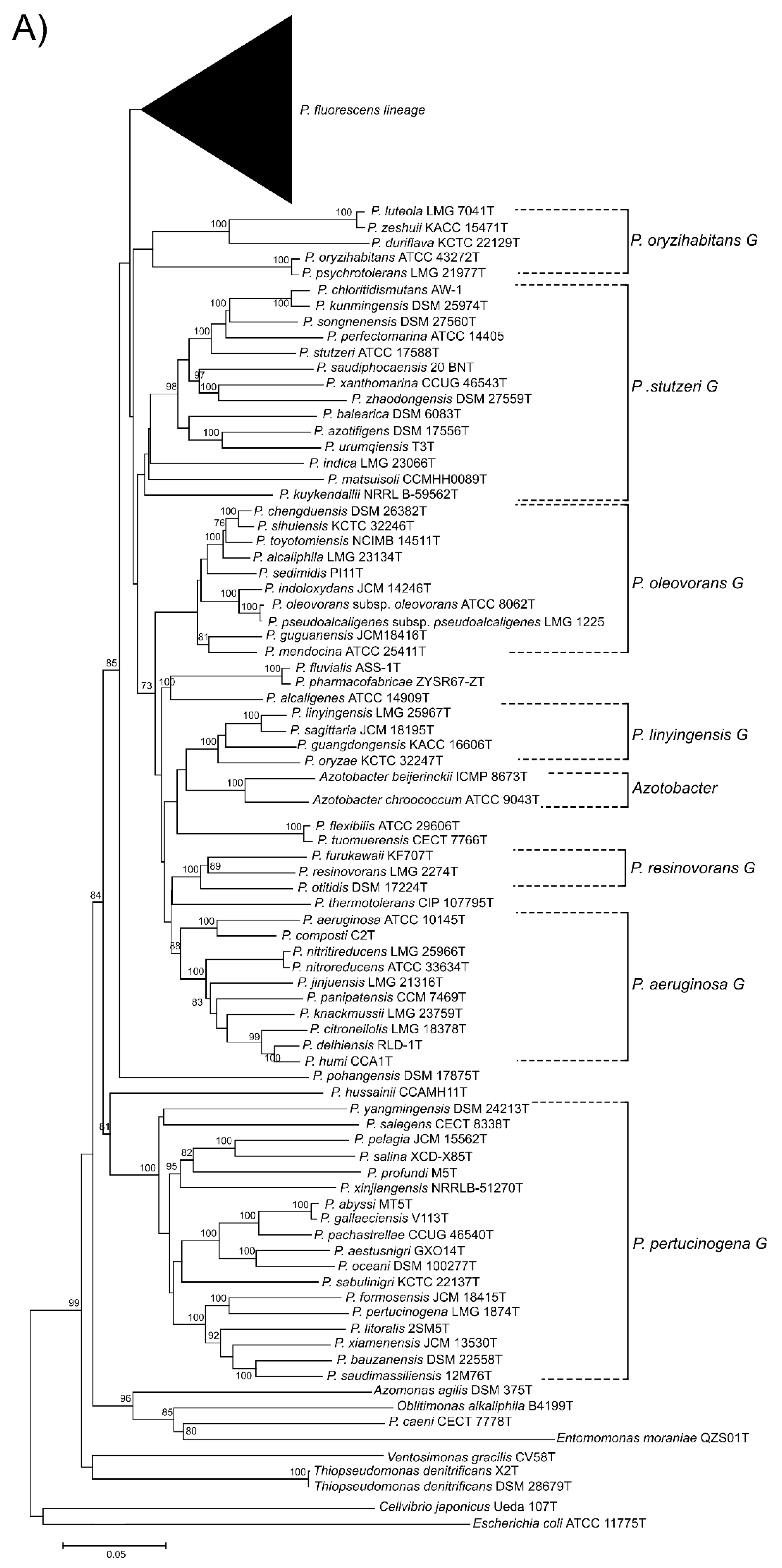 Genes 11 00139 g001a Genes 11 00139 g001a