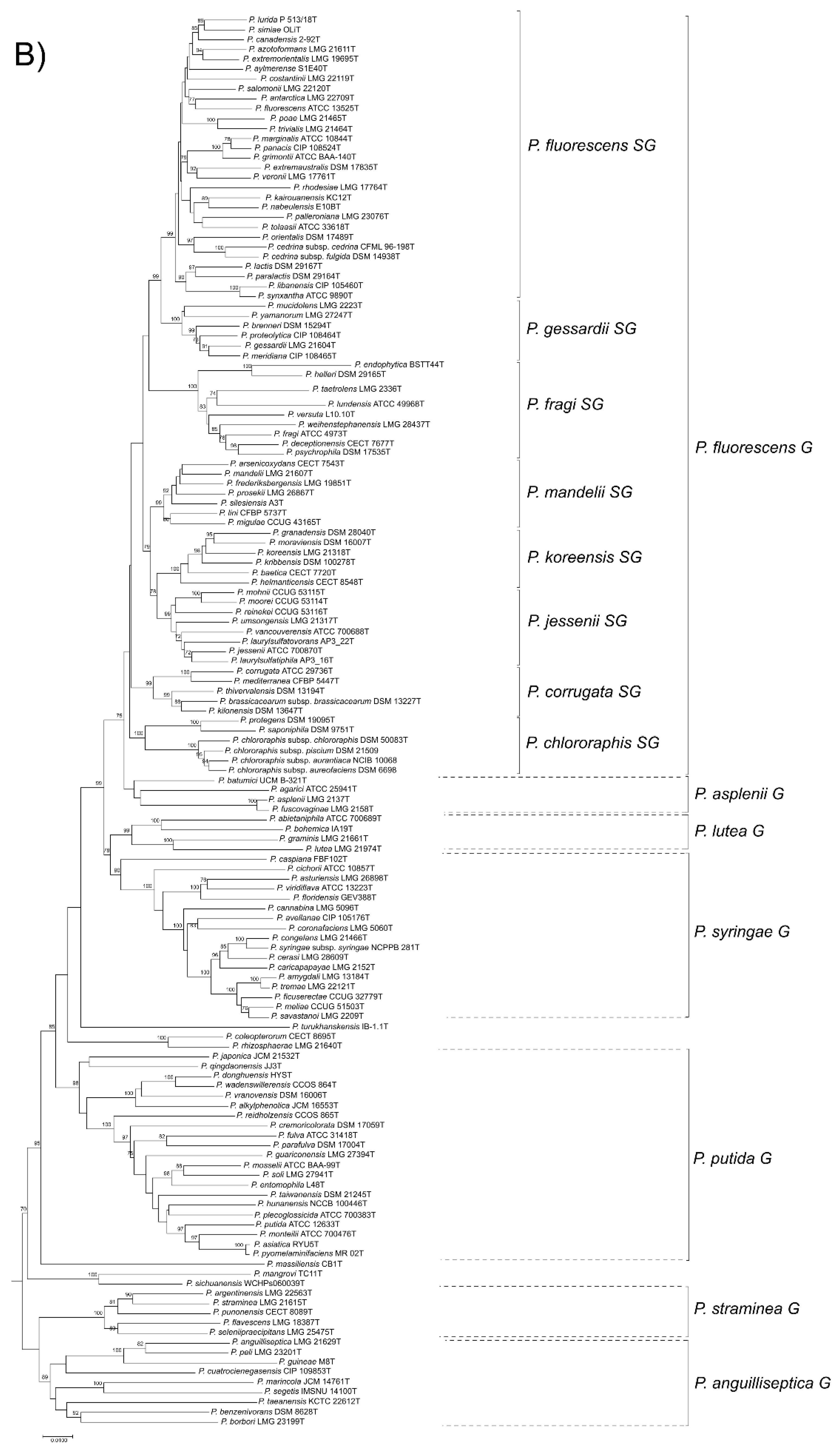 Genes 11 00139 g001b Genes 11 00139 g001b