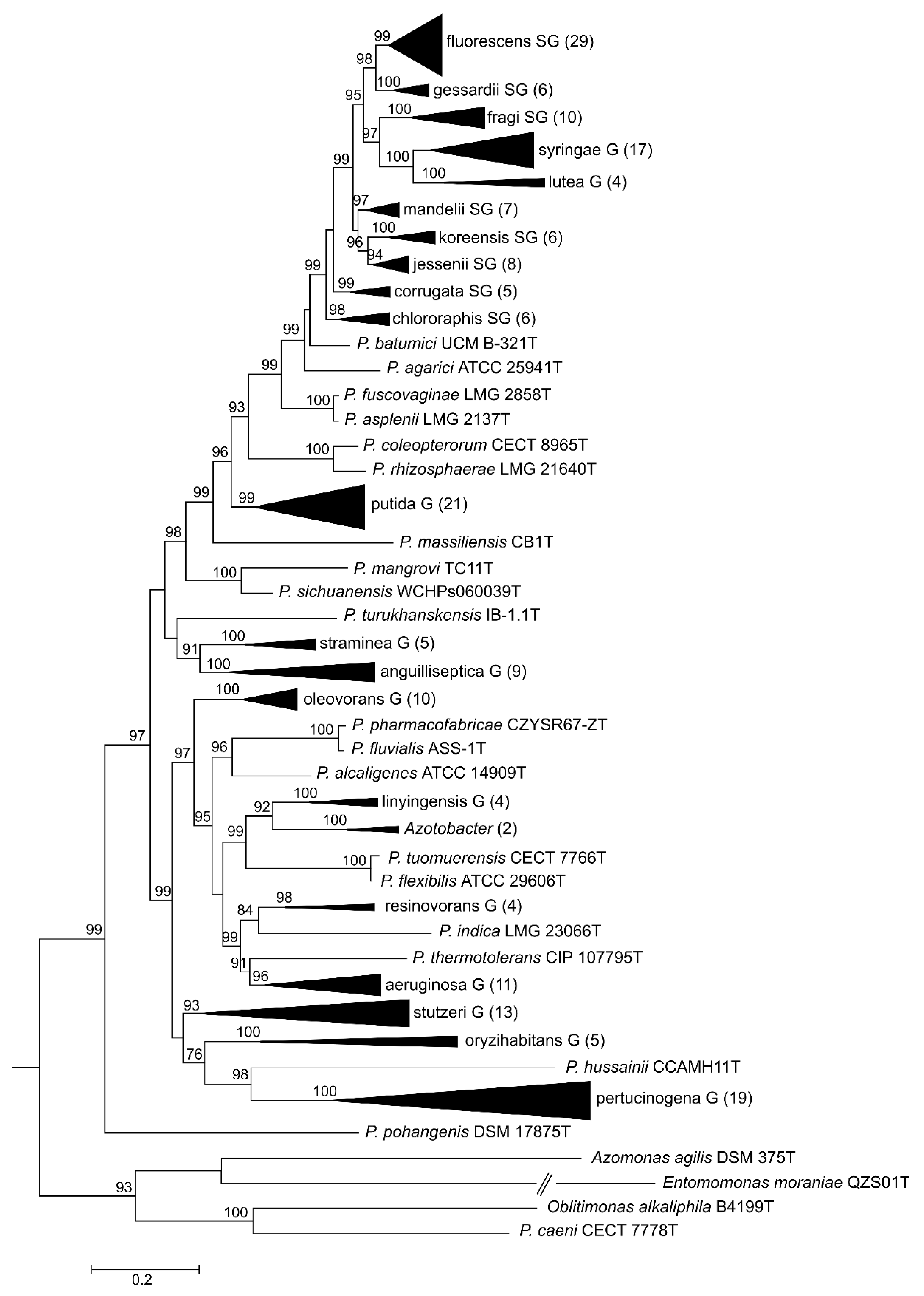Genes 11 00139 g002 Genes 11 00139 g002