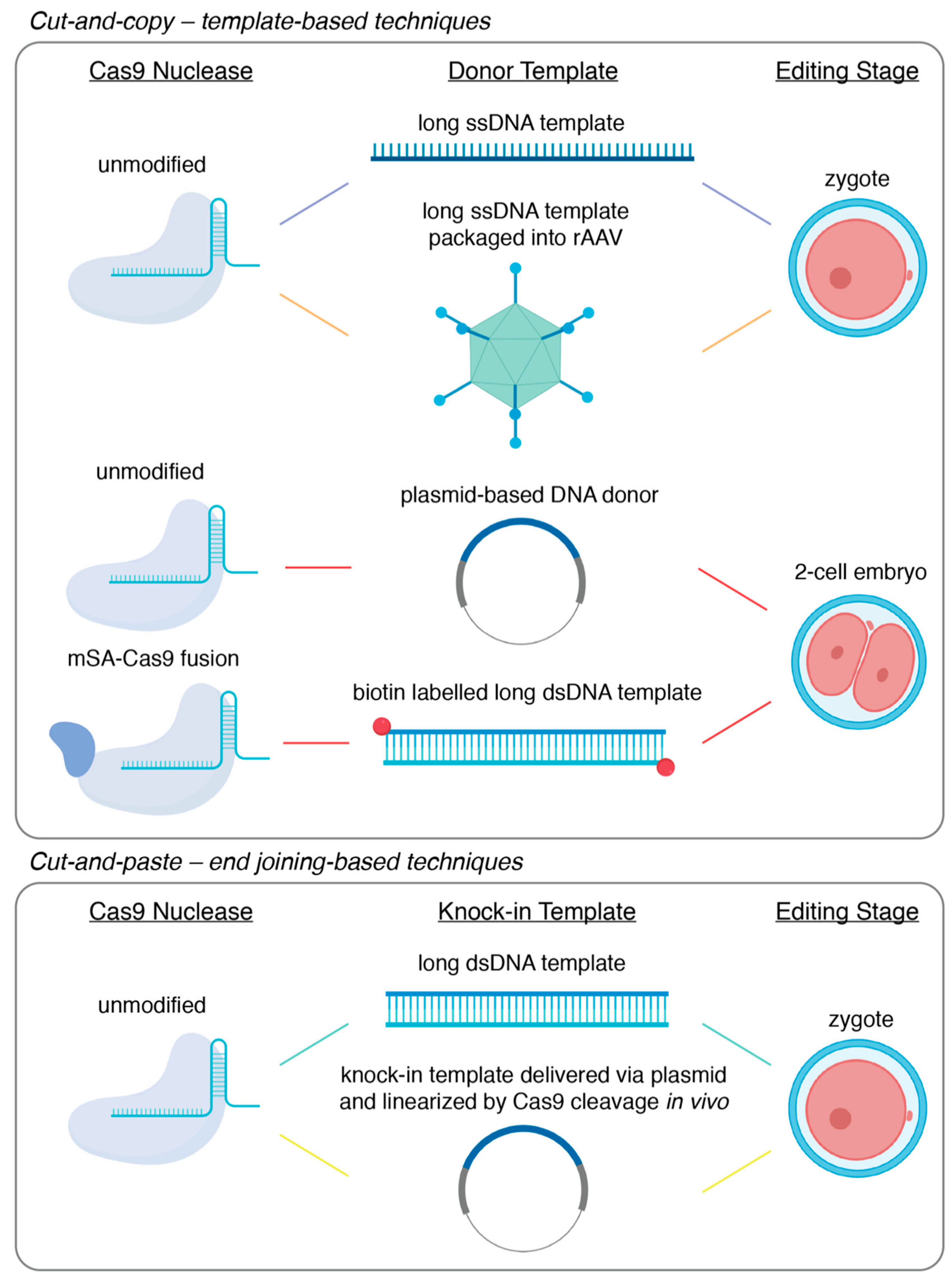 Genes 11 00140 g001 Genes 11 00140 g001
