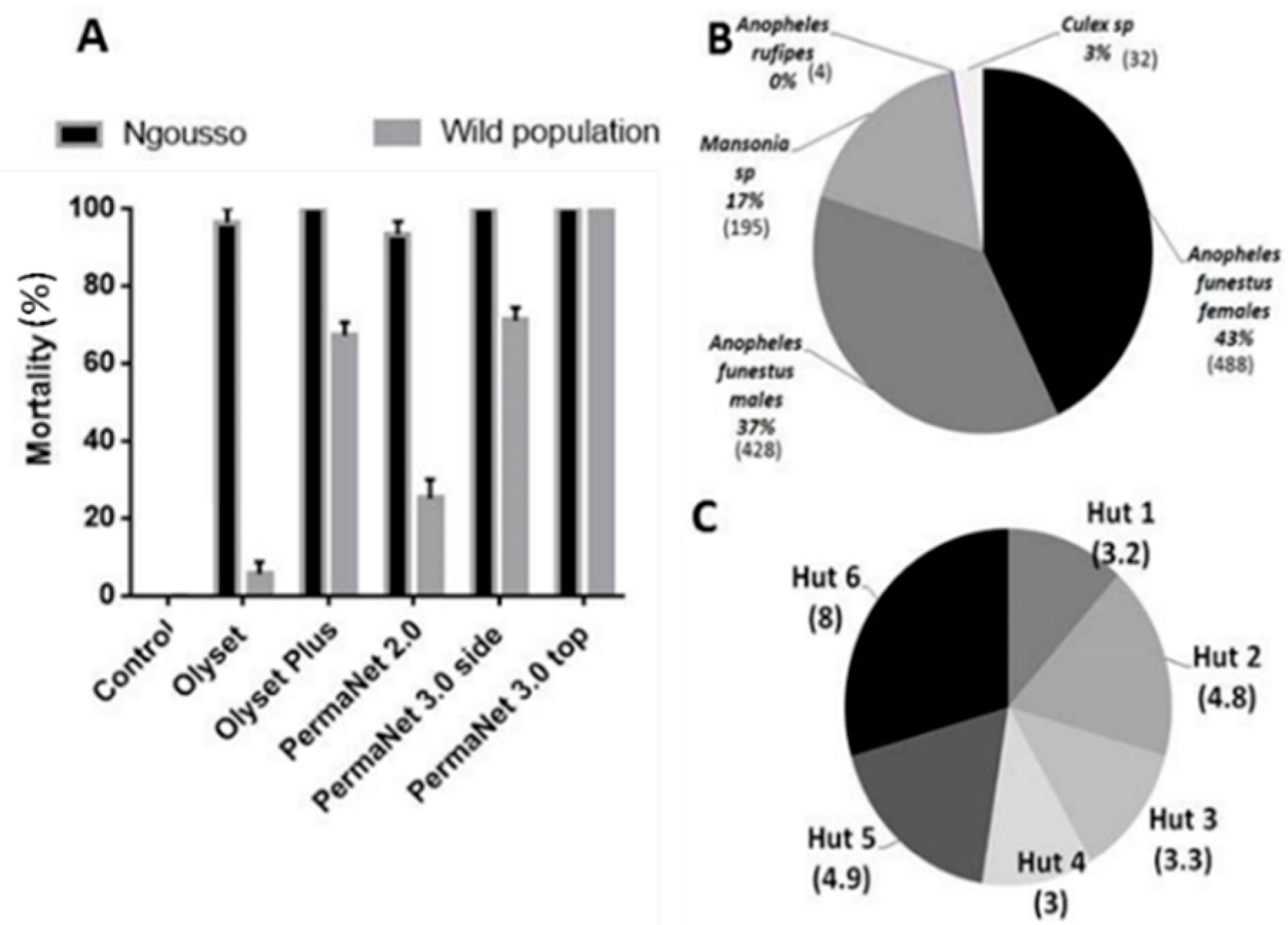 Genes 11 00143 g001 Genes 11 00143 g001