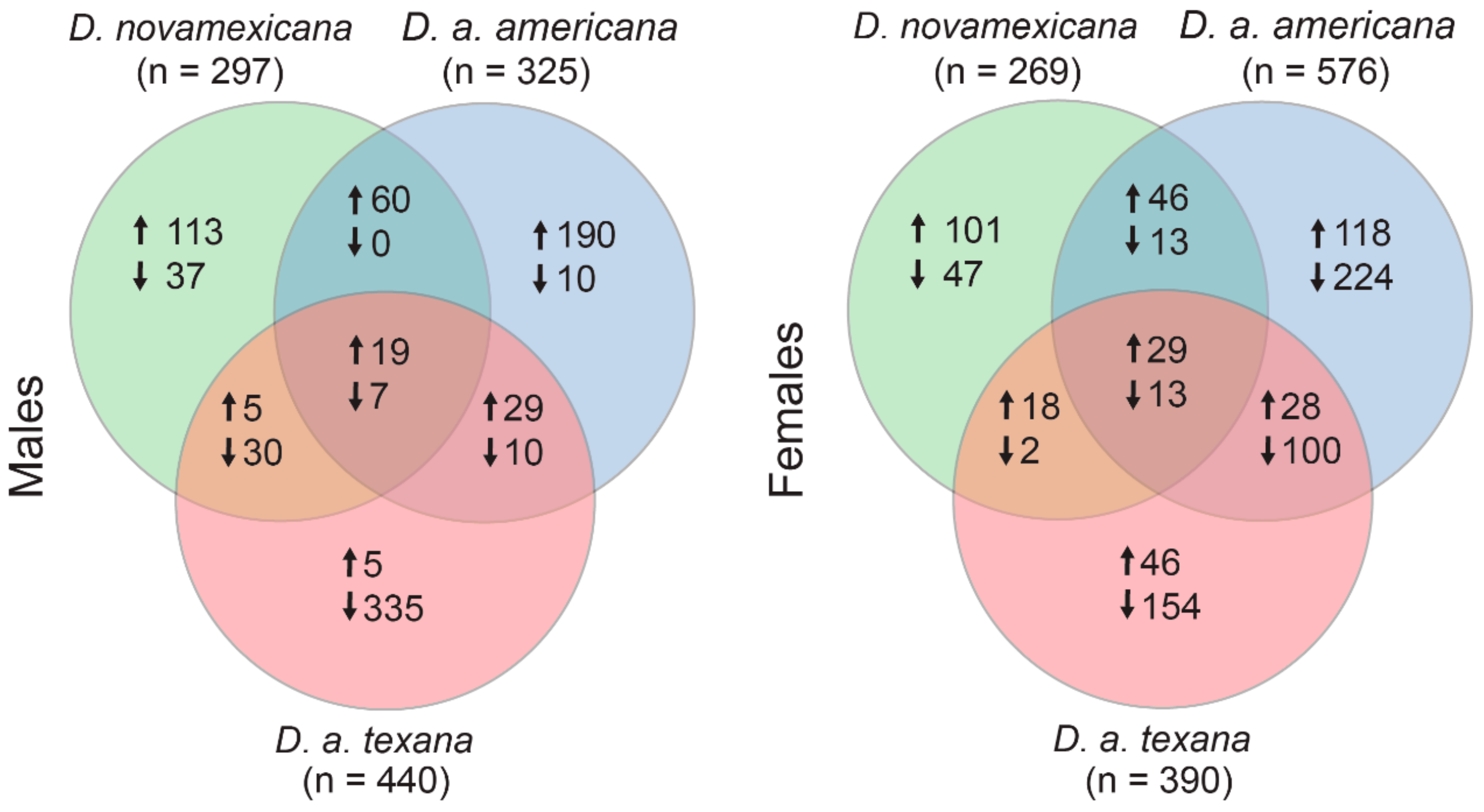 Genes 11 00146 g002