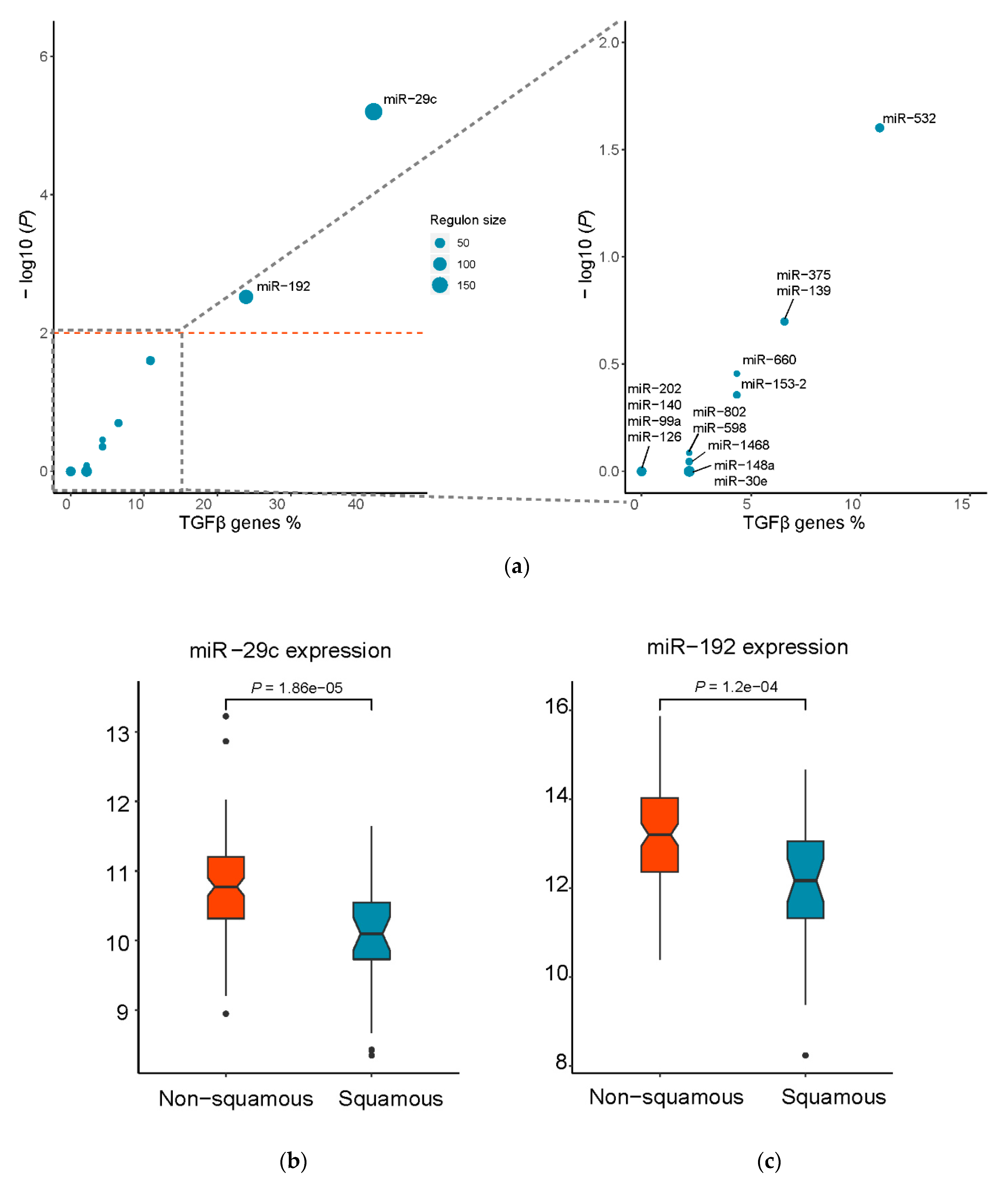 Genes 11 00155 g004