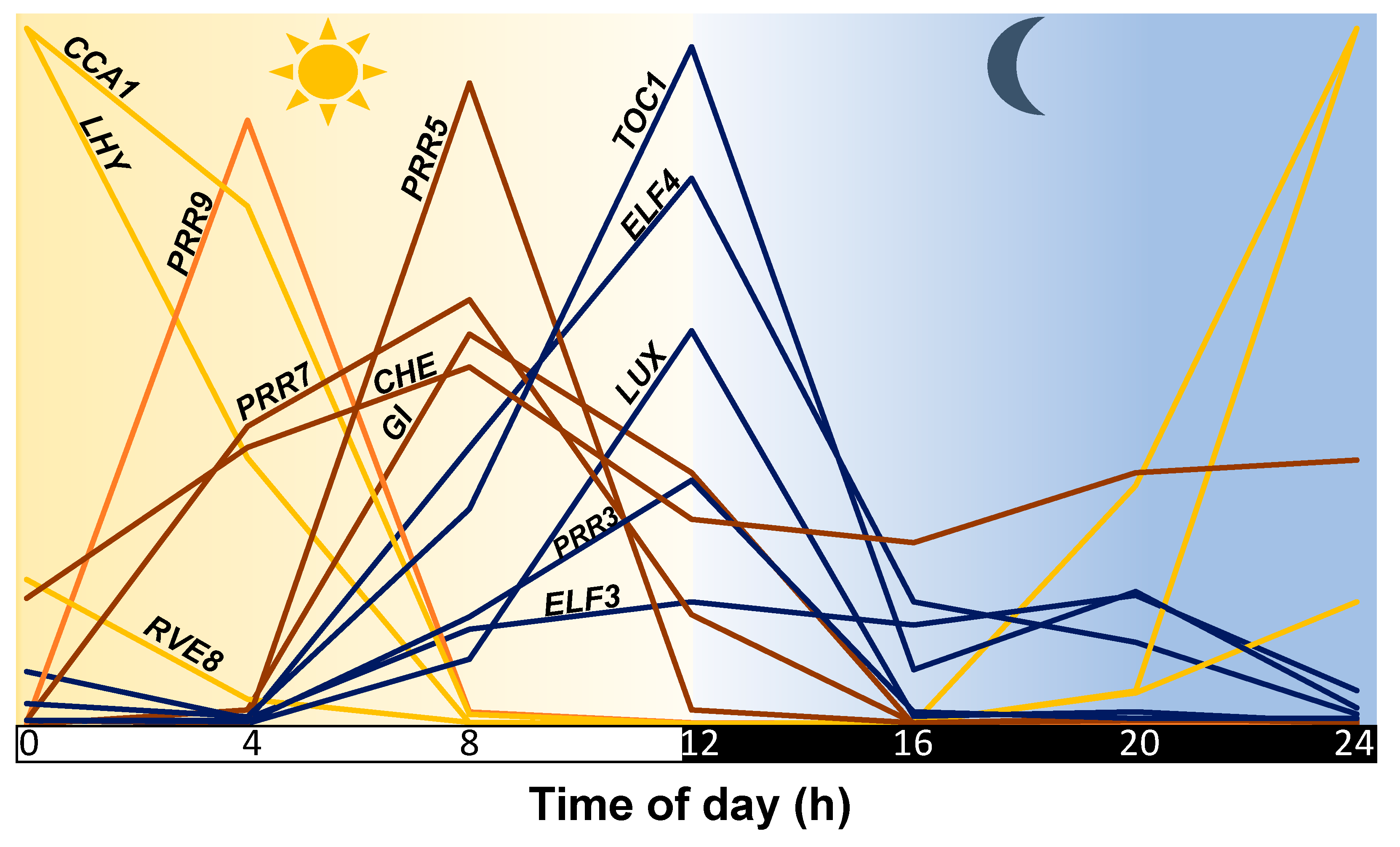 Genes 11 00156 g001 Genes 11 00156 g001