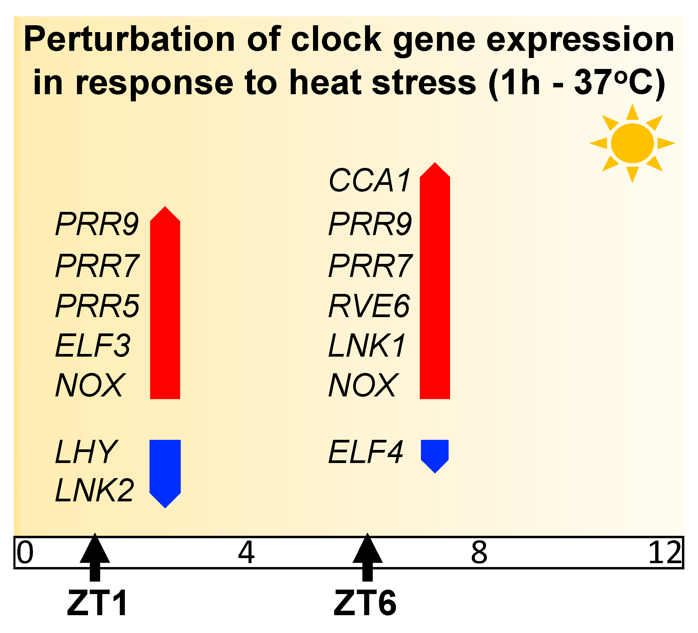 Genes 11 00156 g002 Genes 11 00156 g002