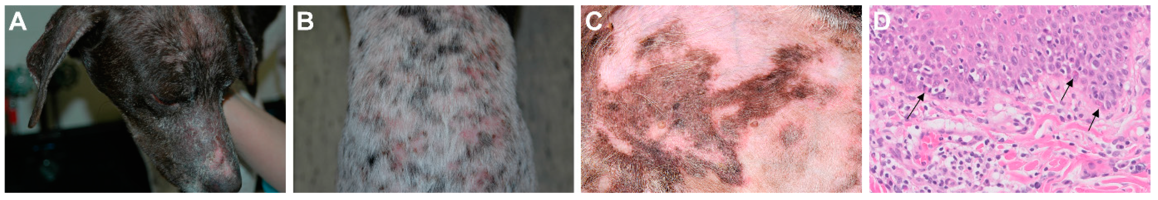 Genes 11 00159 g001 Genes 11 00159 g001