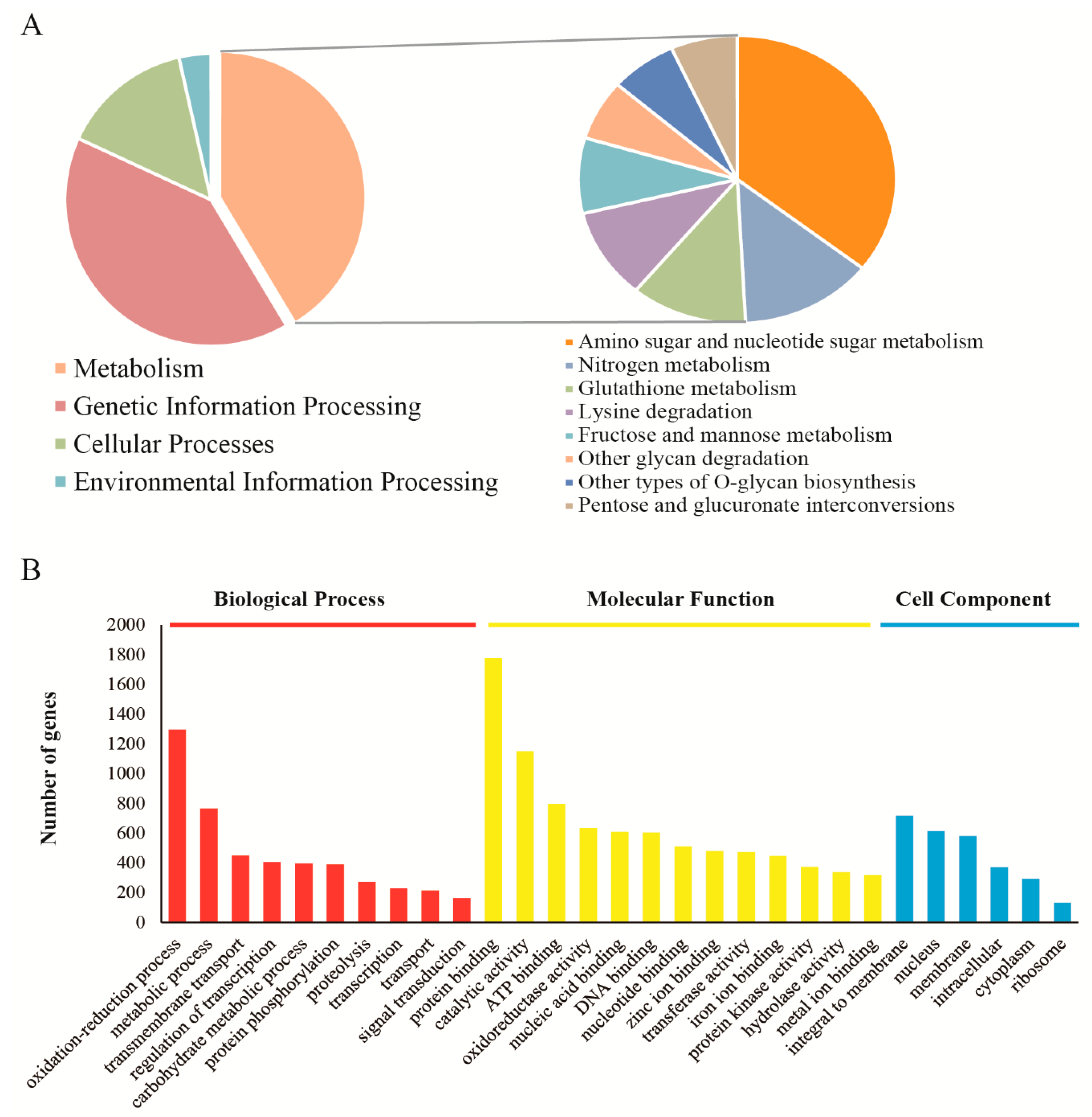 Genes 11 00161 g002 Genes 11 00161 g002