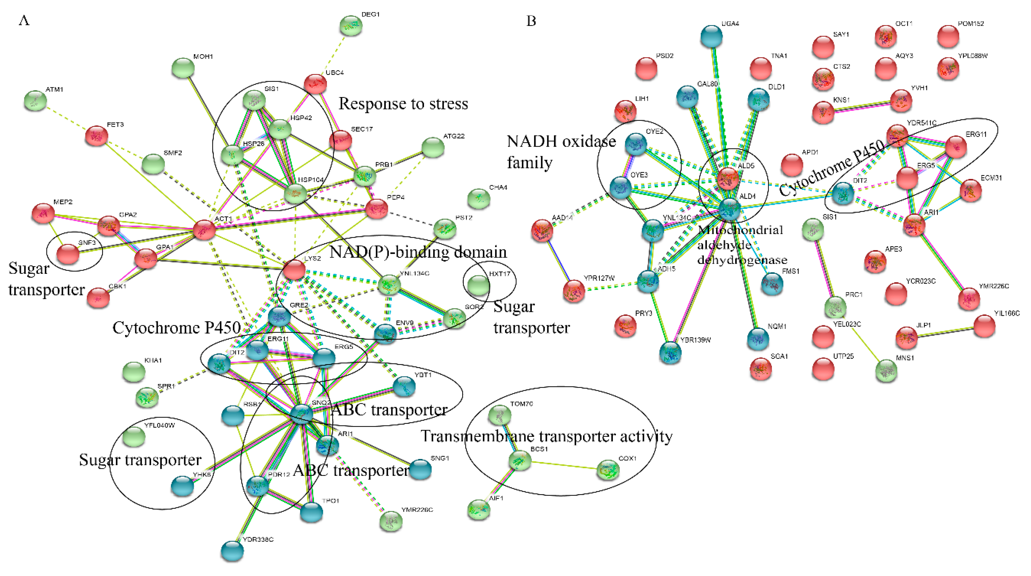 Genes 11 00161 g004 Genes 11 00161 g004