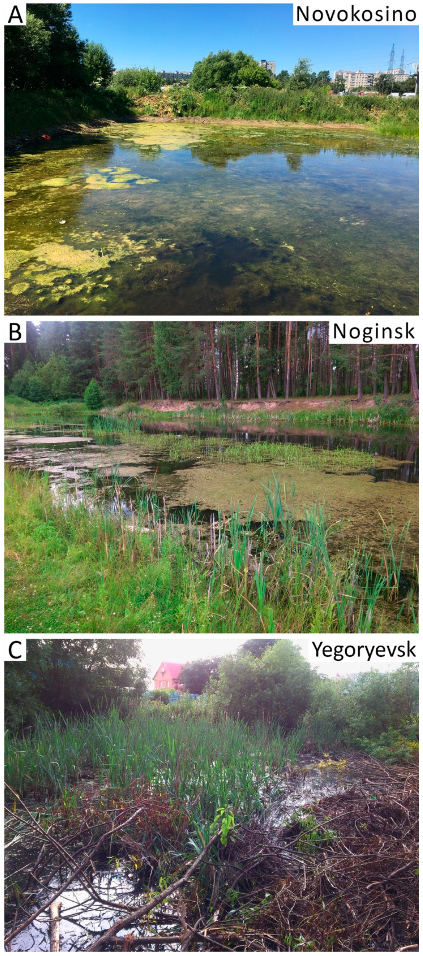 Genes 11 00165 g003 Genes 11 00165 g003