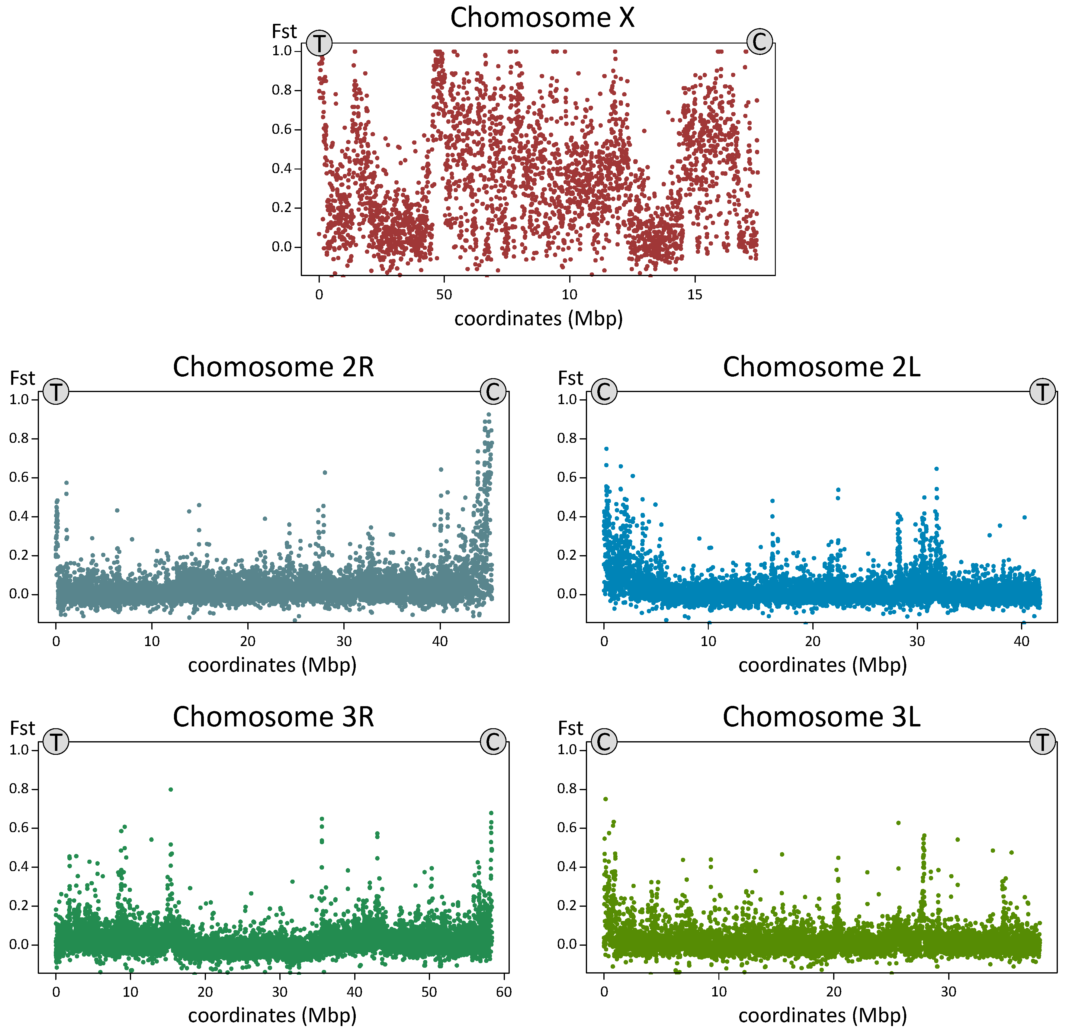 Genes 11 00165 g007 Genes 11 00165 g007
