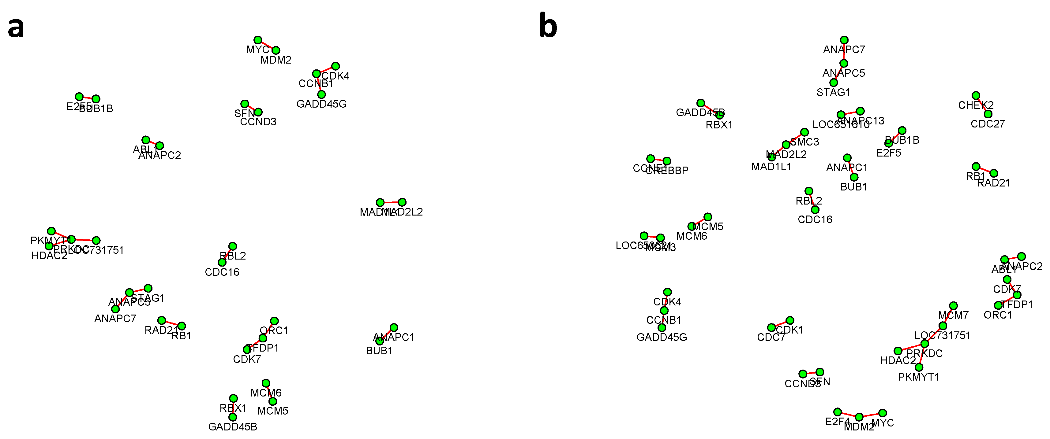 Genes 11 00167 g006a