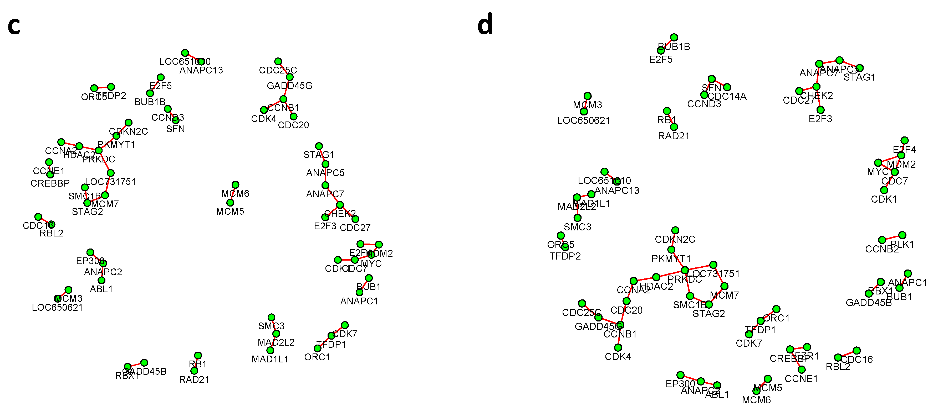 Genes 11 00167 g006b