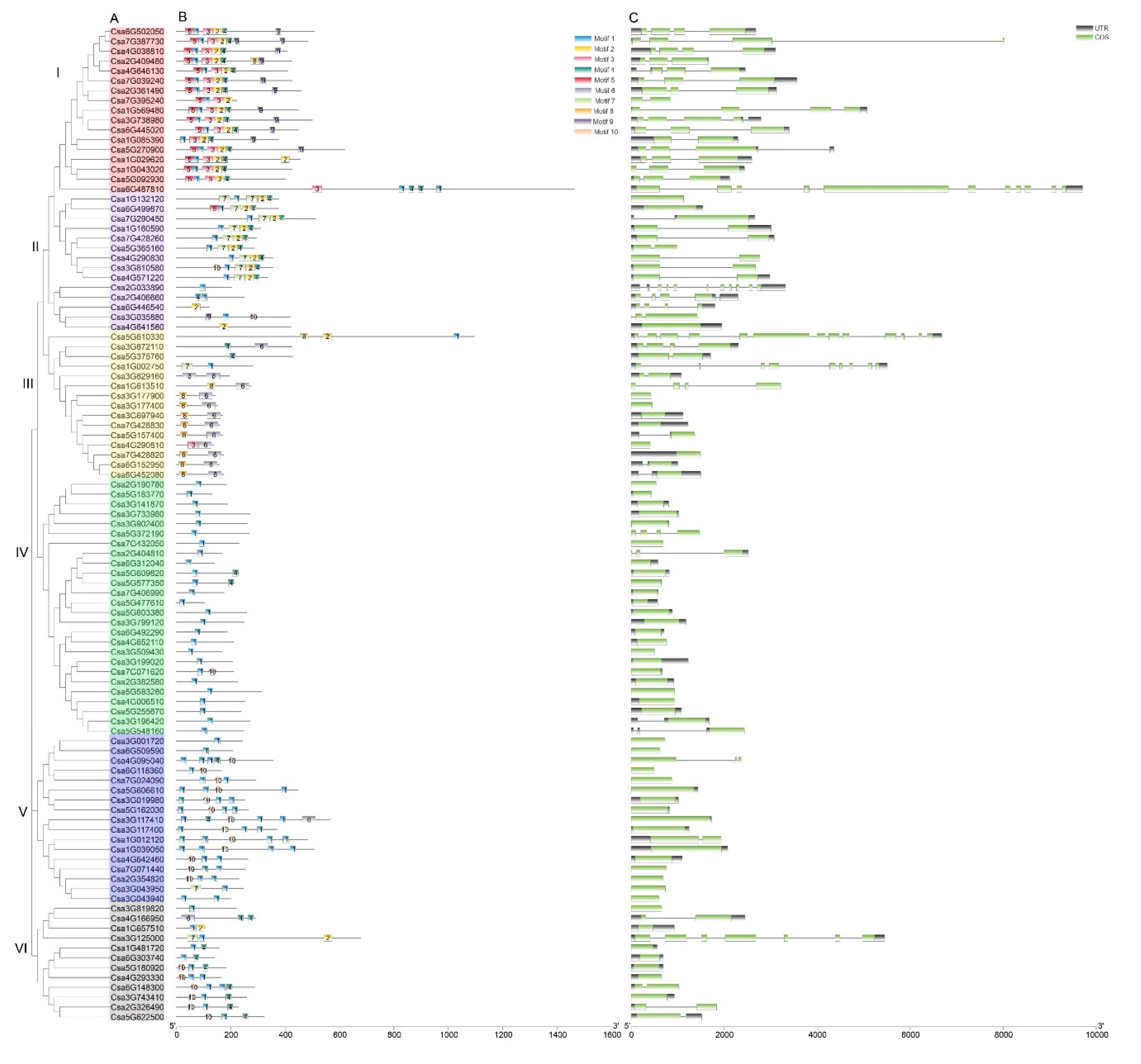 Genes 11 00171 g004 Genes 11 00171 g004