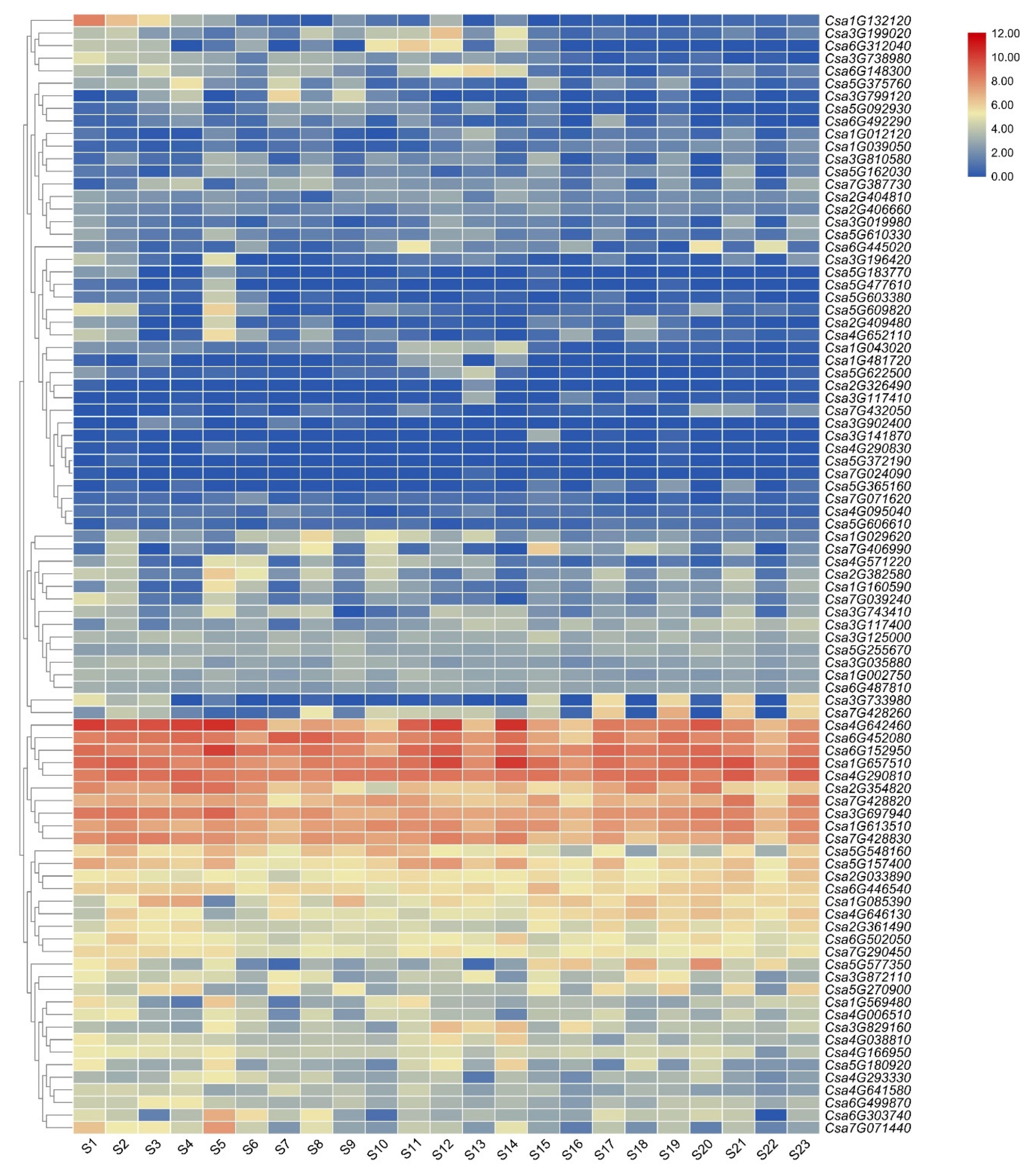Genes 11 00171 g005 Genes 11 00171 g005
