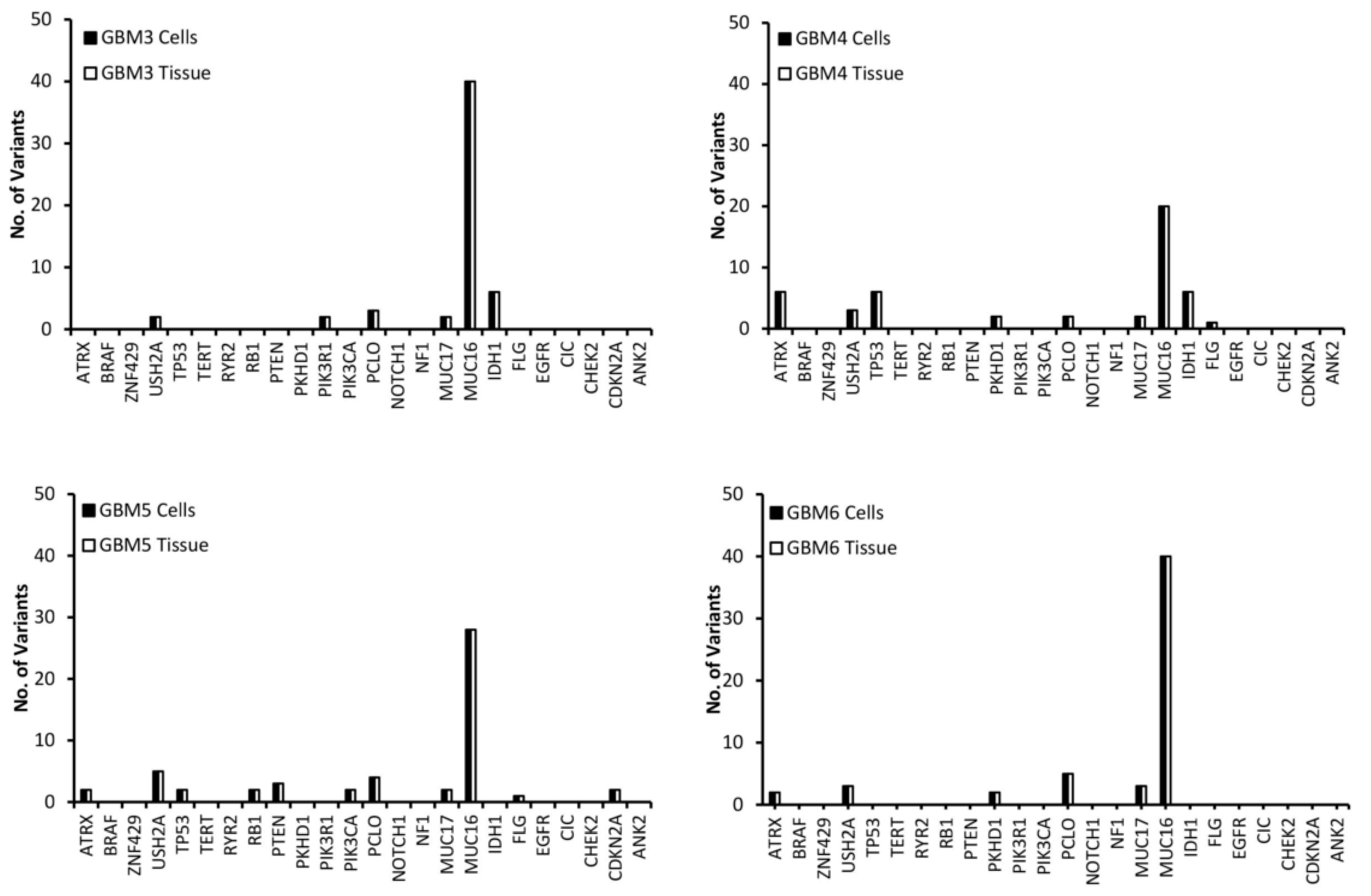 Genes 11 00173 g002b Genes 11 00173 g002b