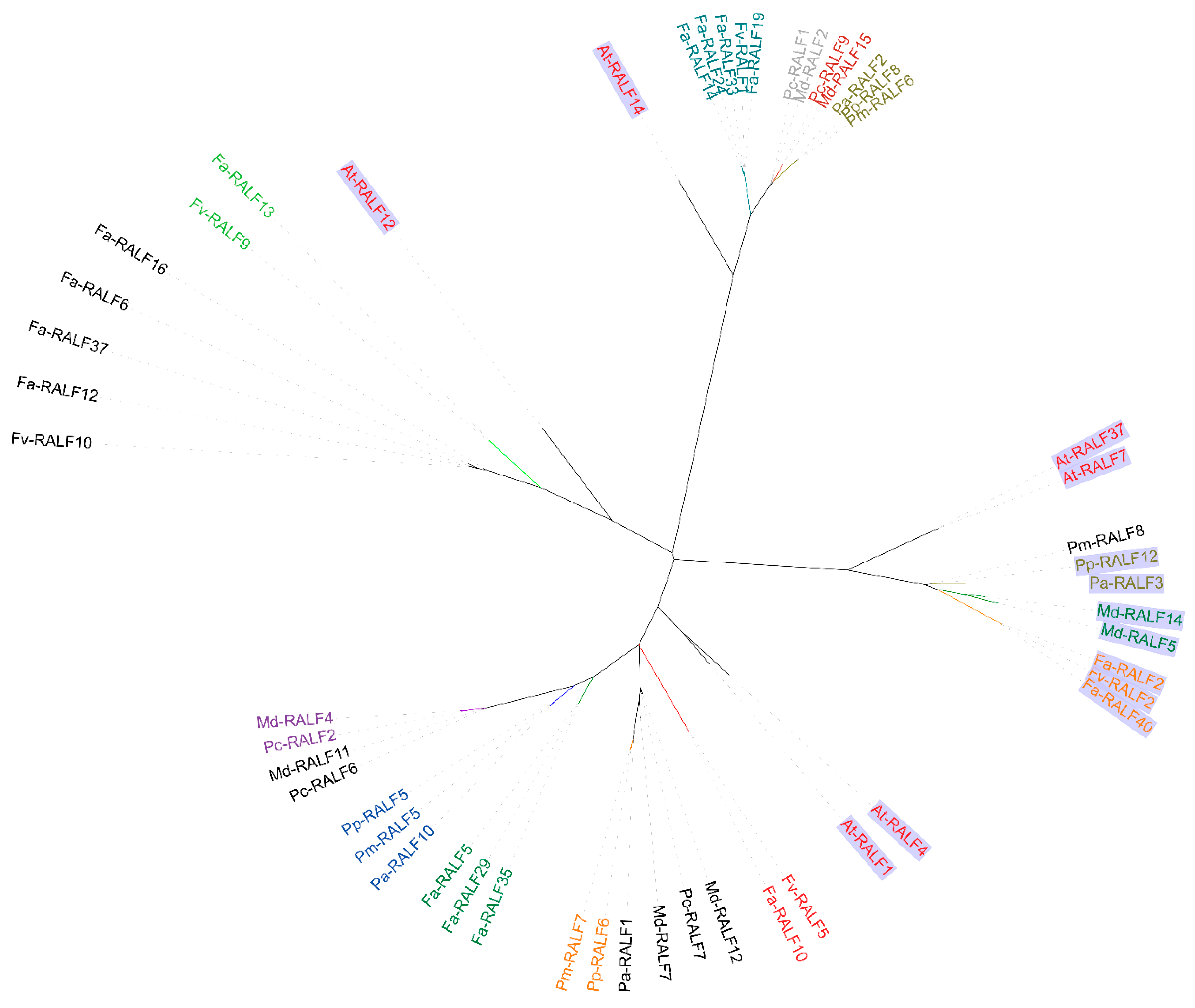 Genes 11 00174 g003 Genes 11 00174 g003
