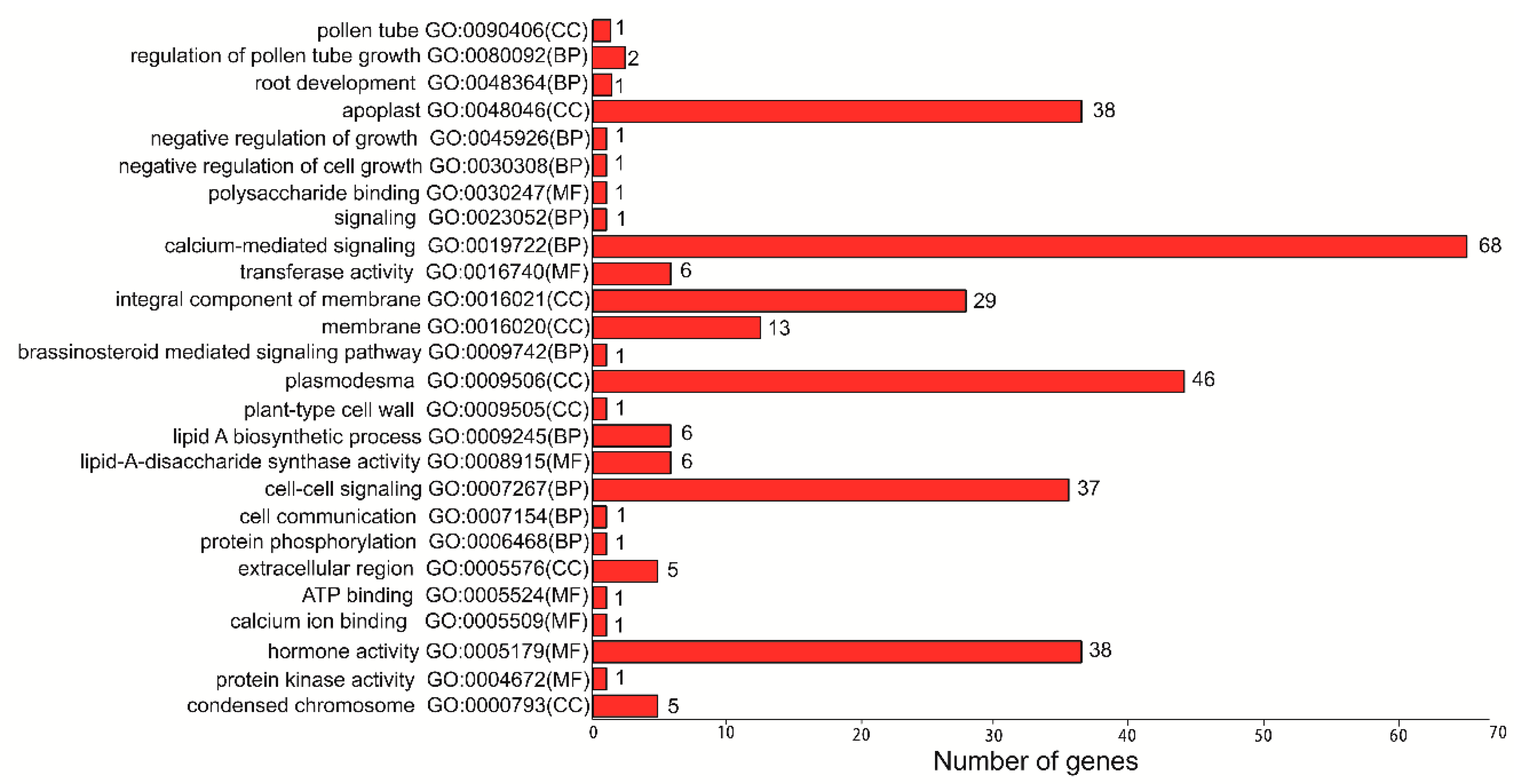Genes 11 00174 g005 Genes 11 00174 g005