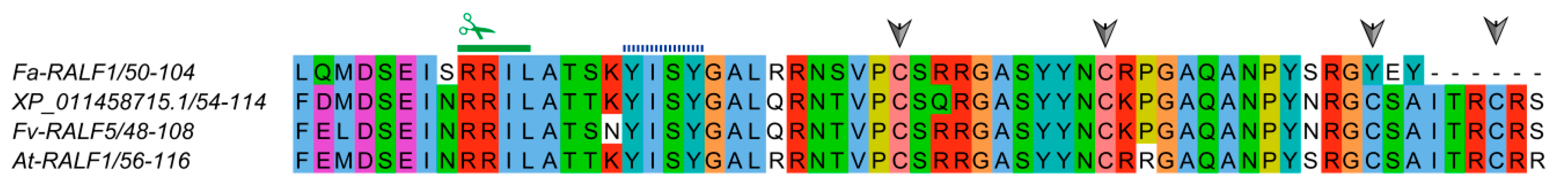 Genes 11 00174 g007 Genes 11 00174 g007