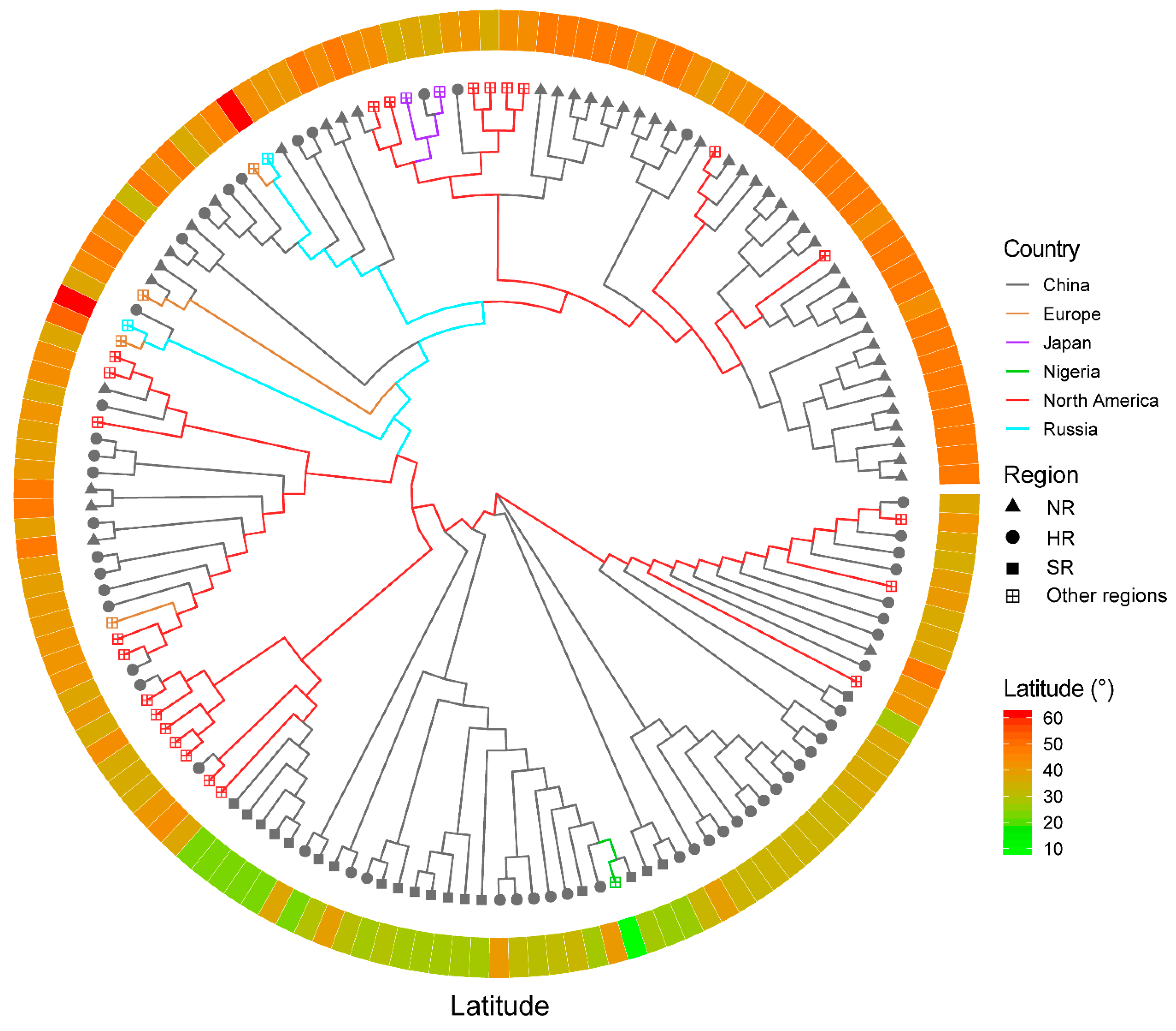 Genes 11 00175 g005 Genes 11 00175 g005