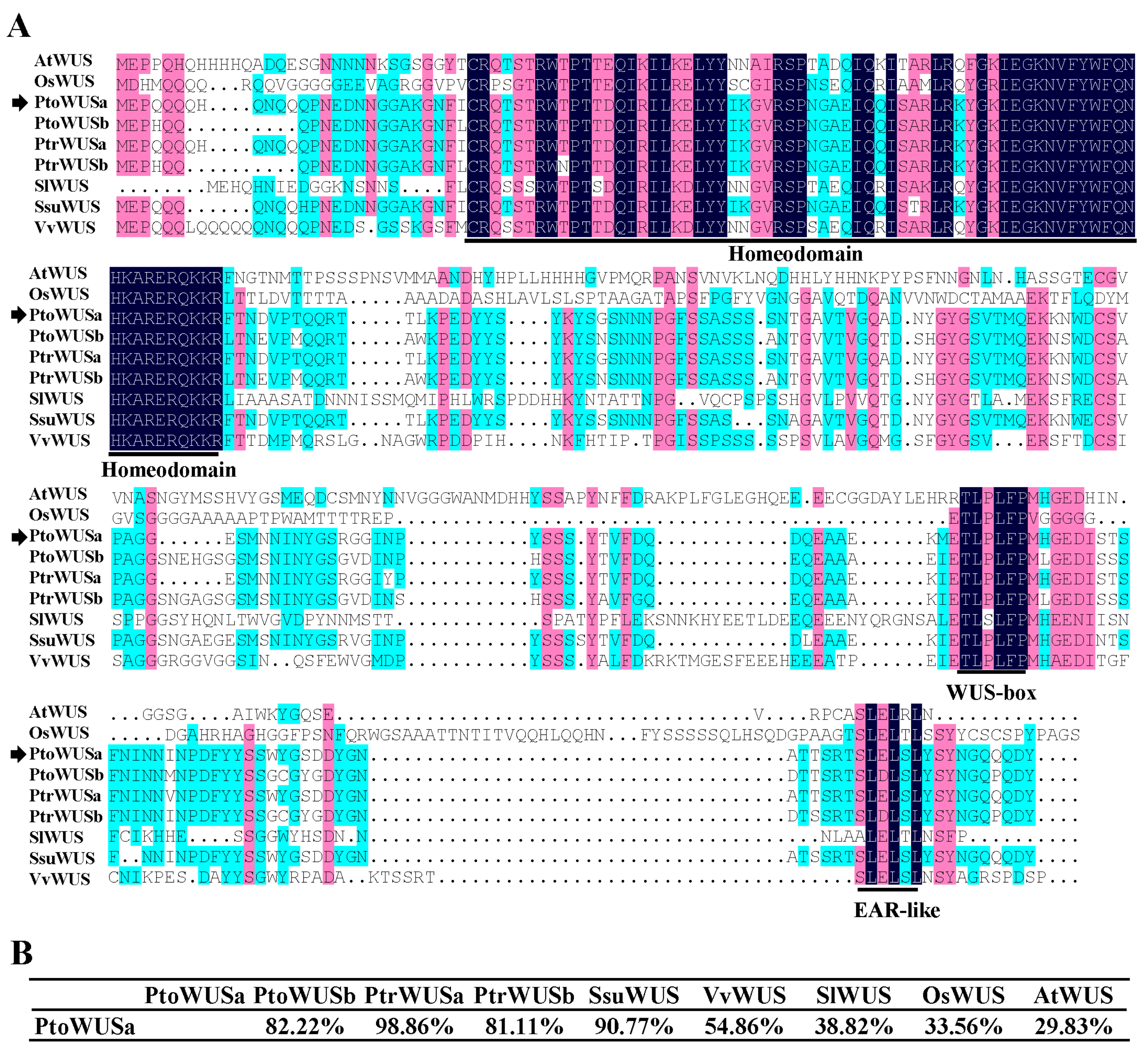 Genes 11 00176 g001 Genes 11 00176 g001