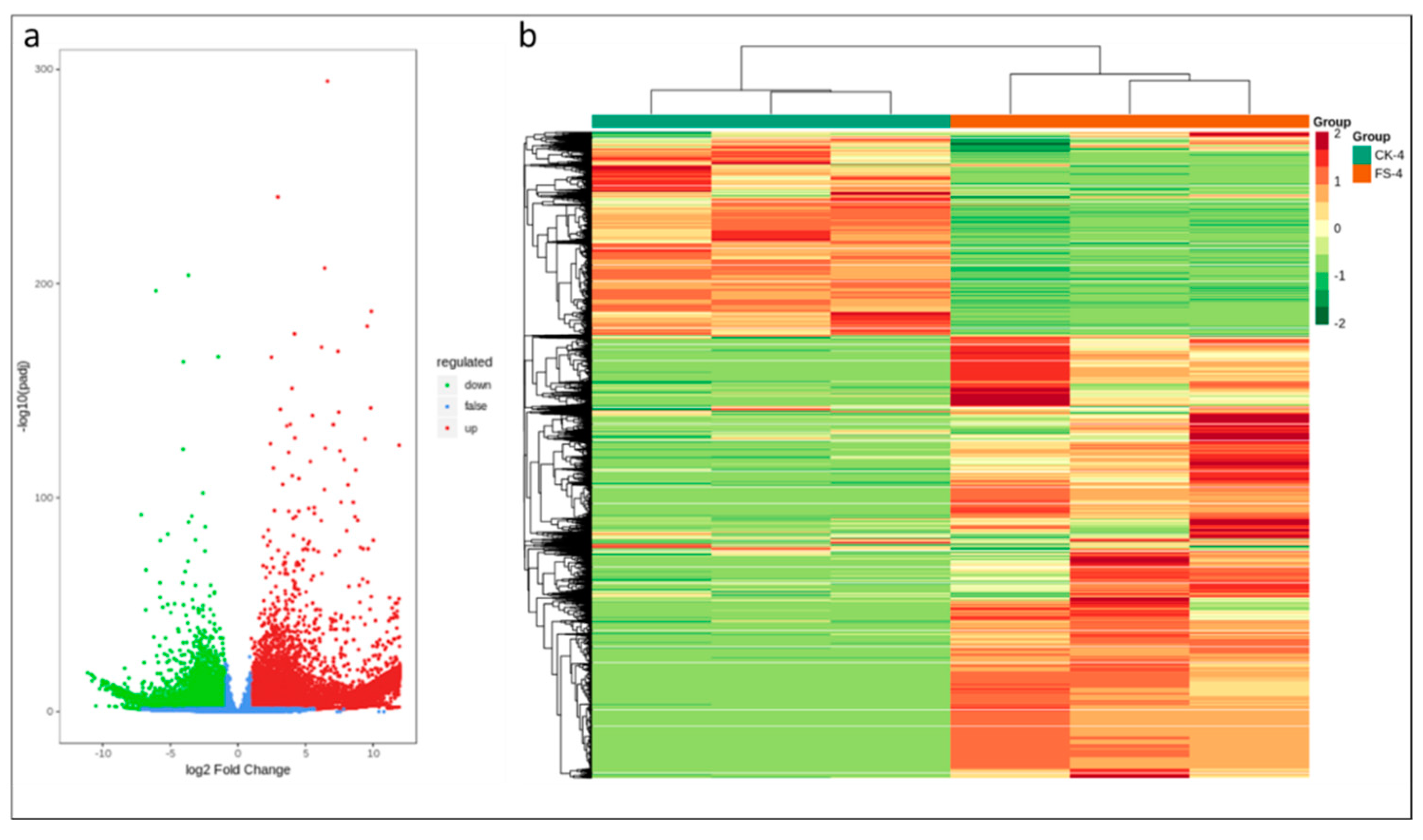 Genes 11 00177 g003 Genes 11 00177 g003