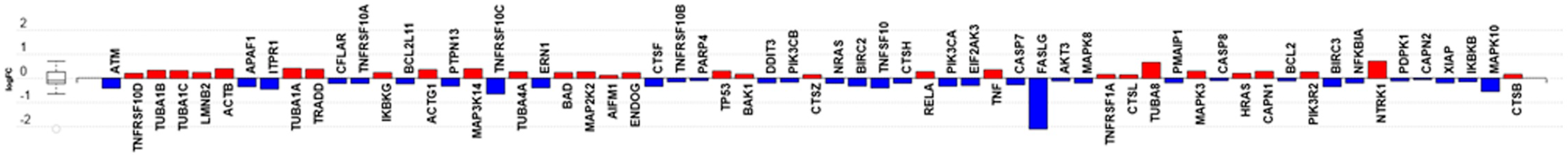 Genes 11 00178 g008 Genes 11 00178 g008