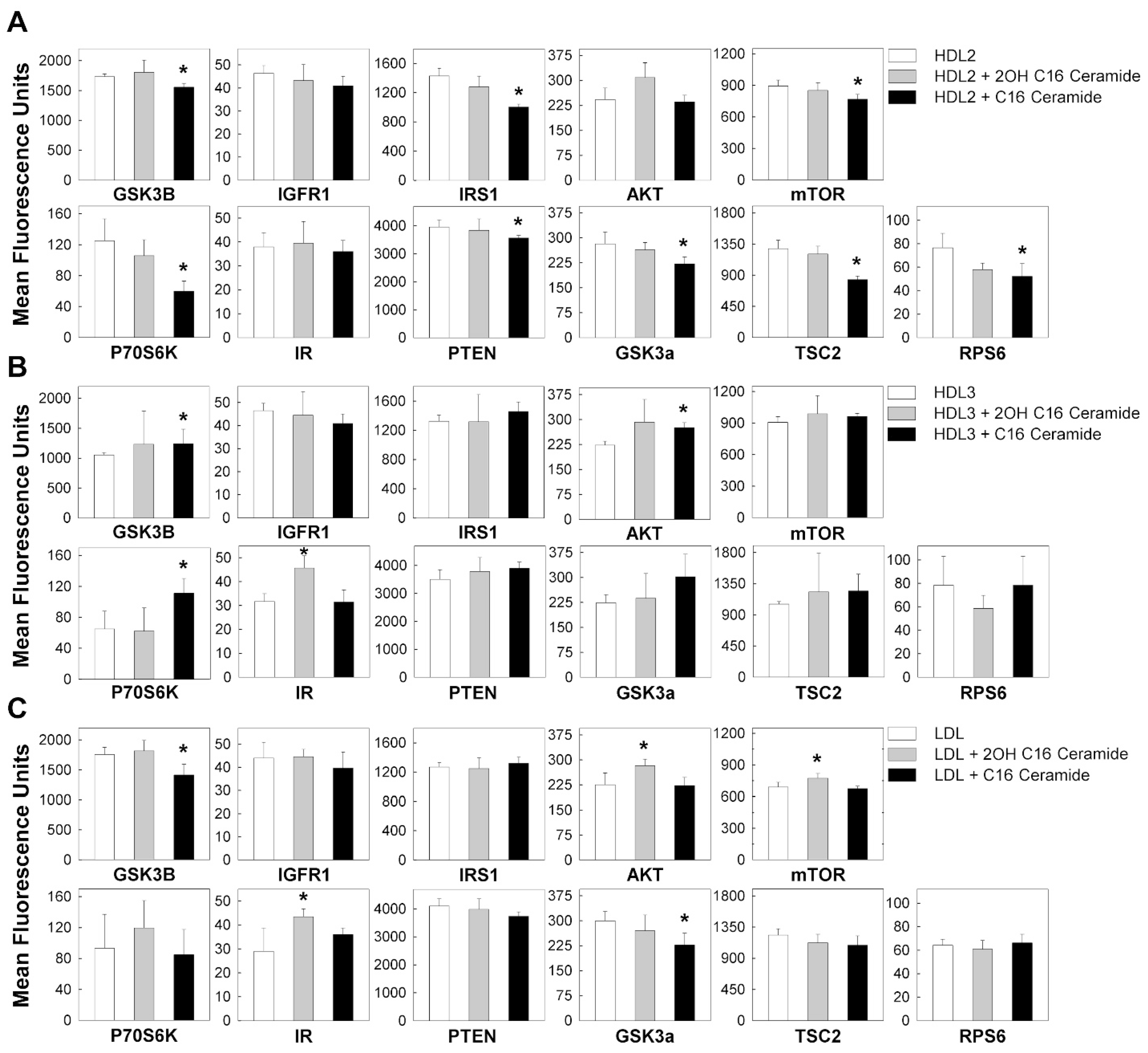 Genes 11 00178 g009 Genes 11 00178 g009