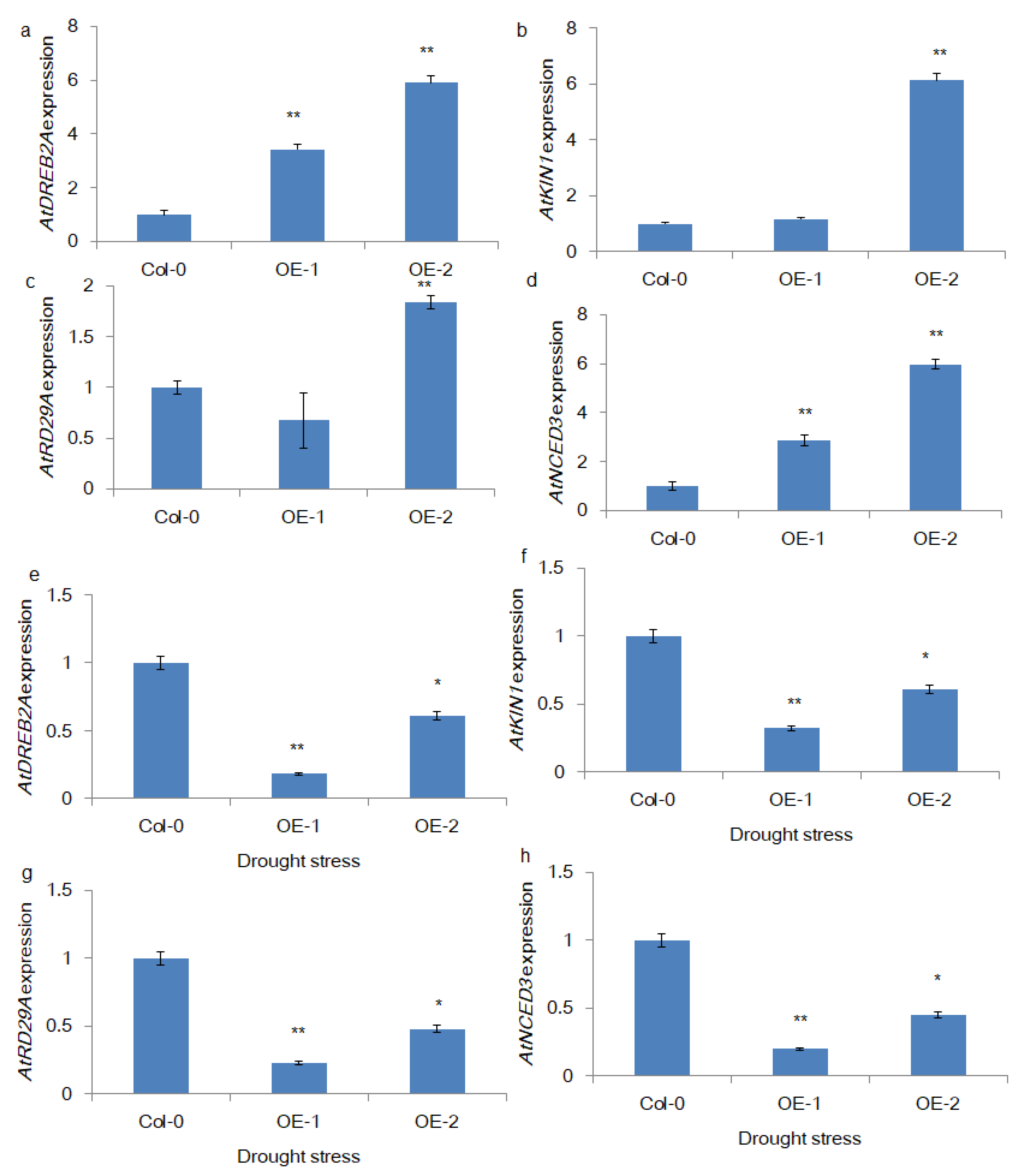 Genes 11 00182 g005