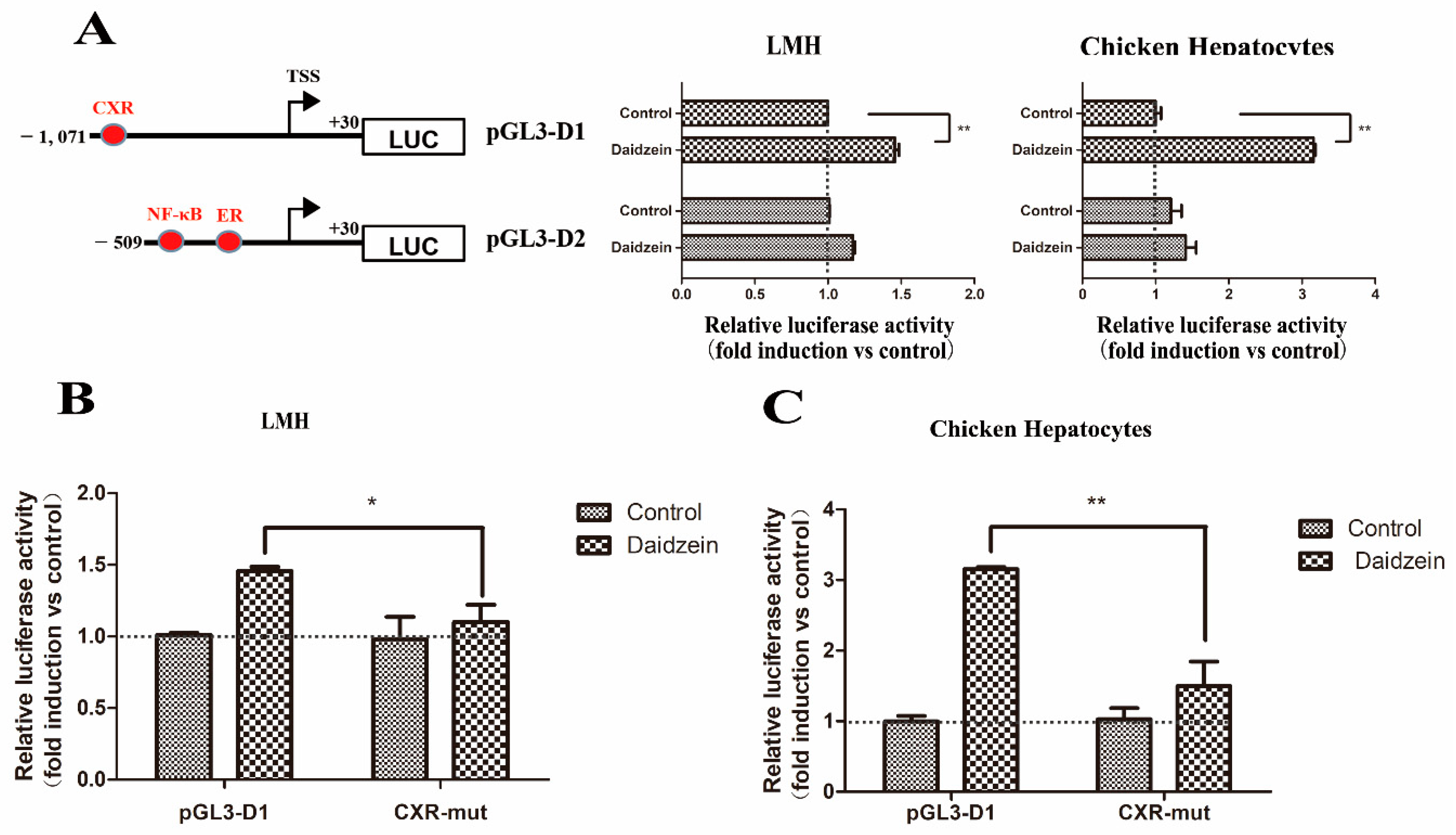 Genes 11 00186 g006
