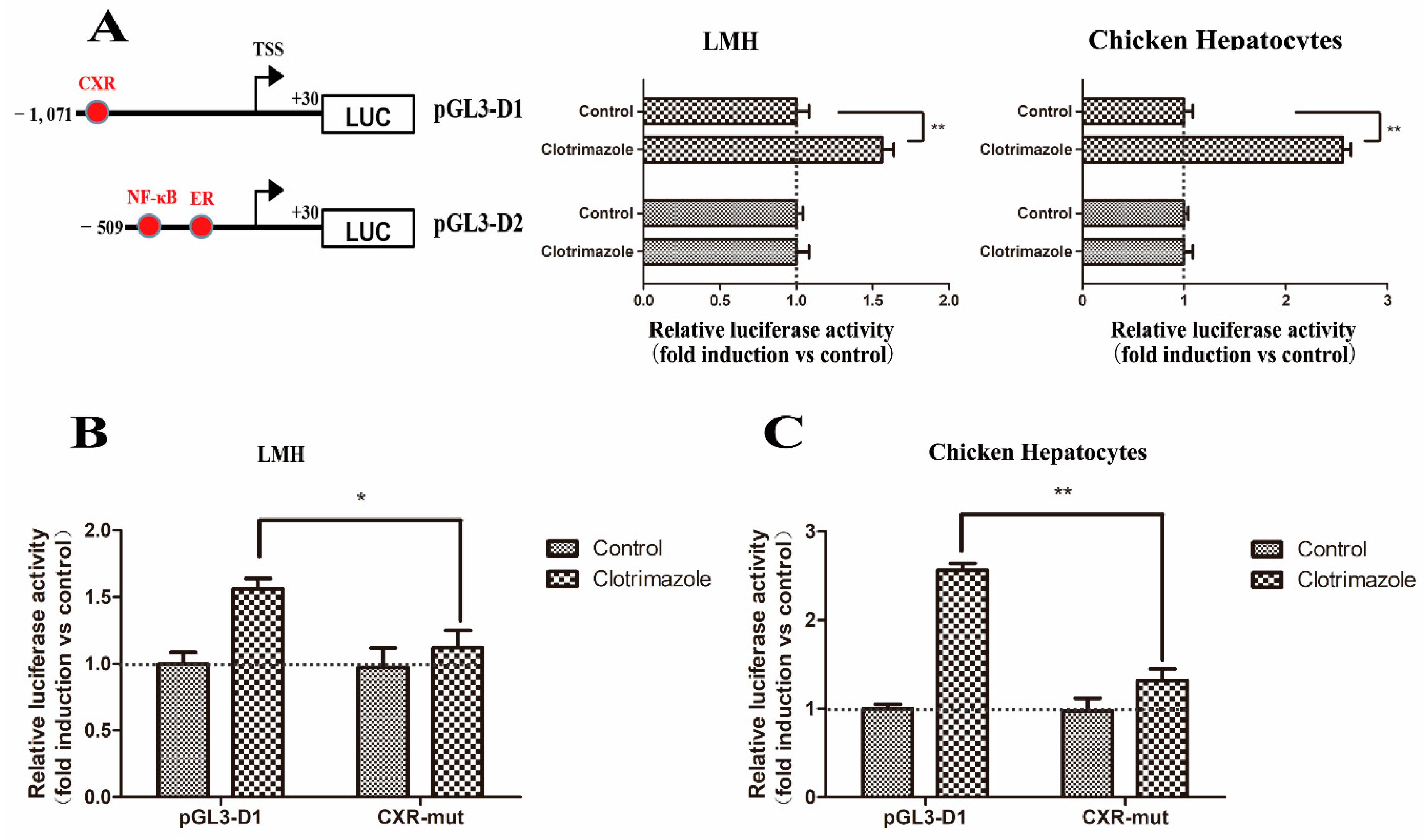 Genes 11 00186 g007