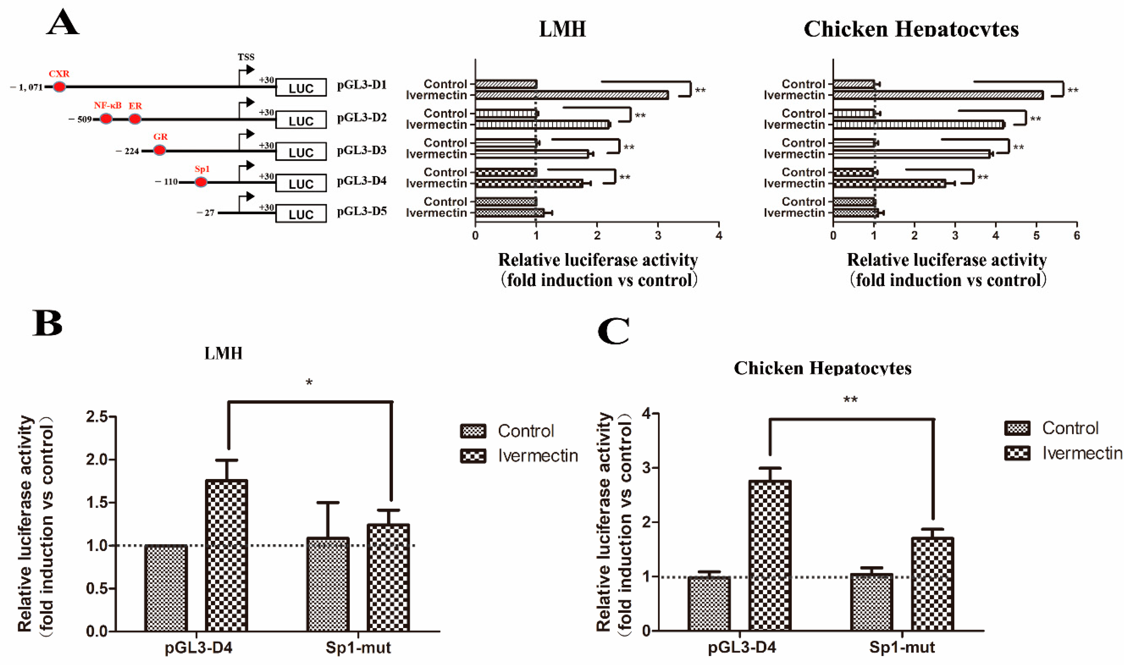 Genes 11 00186 g008
